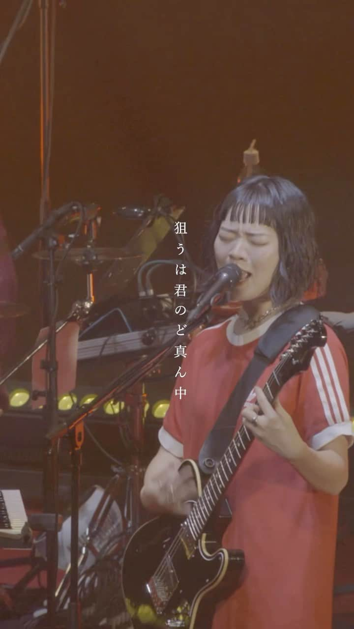 SHISHAMOのインスタグラム：「SHISHAMO CDデビュー10周年イヤーの締めくくりアリーナ2daysLIVE開催🎉!!!  🔴DAY1 (ワンマン) 11月11日(土) SHISHAMO 10th Anniversary Final Live 「FINALE!!! -10YEARS THANK YOU-」  🔴DAY2 (対バン) 11月12日(日) SHISHAMO 10th Anniversary Final Live 「FINALE!!! -10YEARS THANK YOU-」 後夜祭 〜あつまれ同騒会!!!〜  #SHISHAMO #gogovanillas #キュウソネコカミ #KANABOON #狙うは君のど真ん中 #recommendsong」