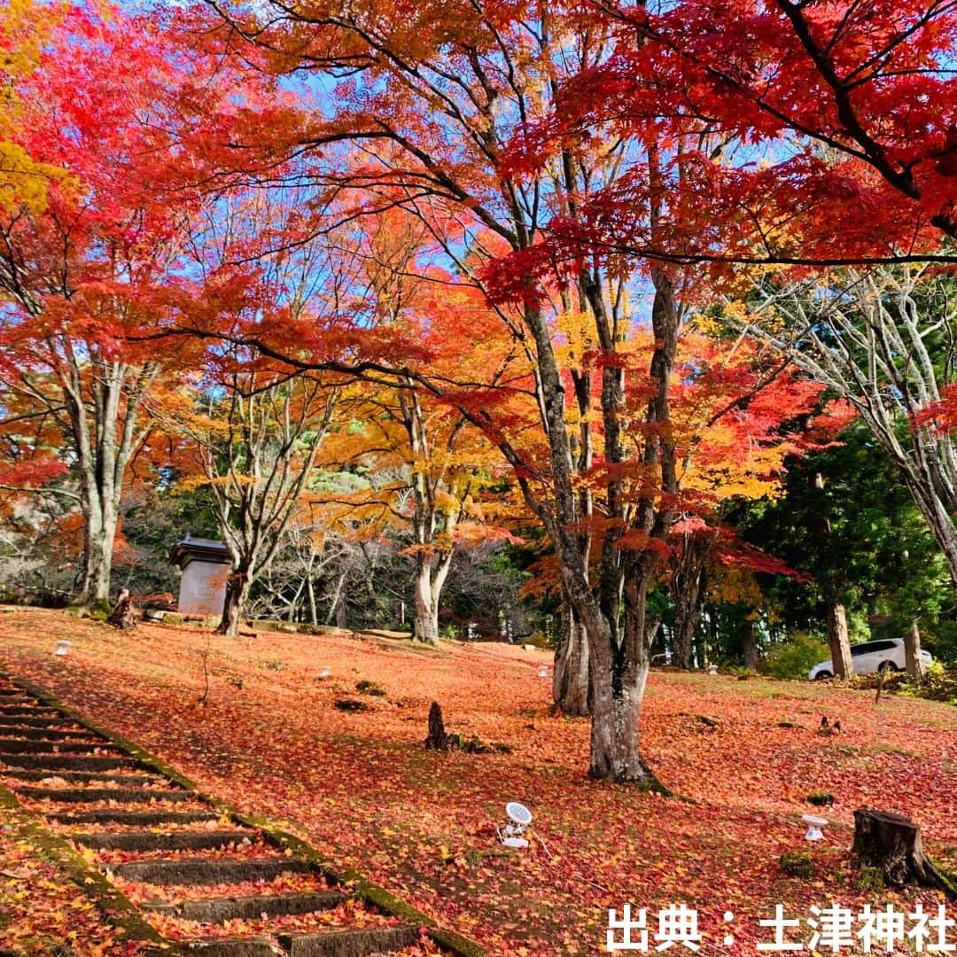 のインスタグラム：「【土津（はにつ）神社の紅葉（猪苗代町）】  猪苗代町にある「土津神社」は、美しい紅葉の名所として知られています。秋になると、神社周辺の木々は鮮やかな赤やオレンジ、黄色に染まります。地面に落ちた赤いモミジはまるで真っ赤な絨毯のようで絶景です。  紅葉の見頃は11月上旬ごろまで、11月12日(日)までは17時から21時まで紅葉のライトアップも行われています。  ※写真は過去に撮影したものです。紅葉の状況については、ご確認の上お出かけください。  #土津神社 #紅葉 #ライトアップ #猪苗代町 #会津地方 #福島県 #inawashirotown #fukushima #RealizeFukushima #NotADreamFukushima #ひとつひとつ実現するふくしま」