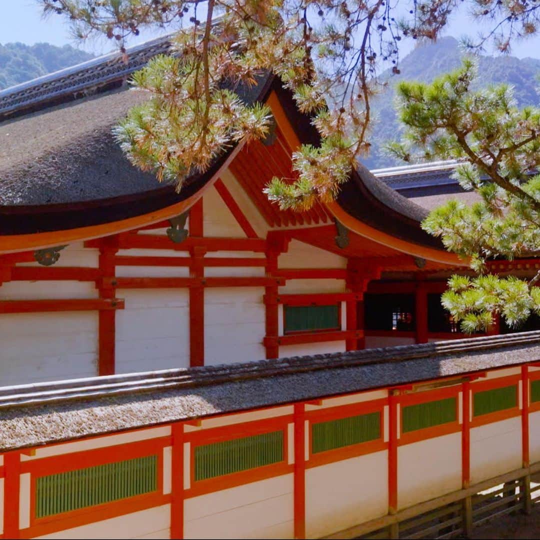 フジテレビ「空旅をあなたへ」さんのインスタグラム写真 - (フジテレビ「空旅をあなたへ」Instagram)「今週木曜日22:54〜の「空旅をあなたへ」は、 アーティスト・平原綾香が巡る、 広島県・宮島✈️  瀬戸内海に浮かぶ、宮島🏝️ 古より、神が宿る島として伝えられています☺️  １４００年以上前に創建されたとされた、 世界文化遺産「嚴島神社」⛩️  島全体が、神そのものと考えられ、 建物は、島を傷つけないよう、 海の上に建てられたと言われています✨  天気にも恵まれ、とても綺麗な景色に 平原さんも感激🤩されていました。  時を超えた美しさに出逢う　 宮島の空旅が始まります。  是非ご覧ください！  #平原綾香 さん #広島県 #宮島 #廿日市市 #嚴島神社 #空旅をあなたへ #soratabi #撮影 #撮影オフショット」11月1日 16時51分 - soratabi_fuji