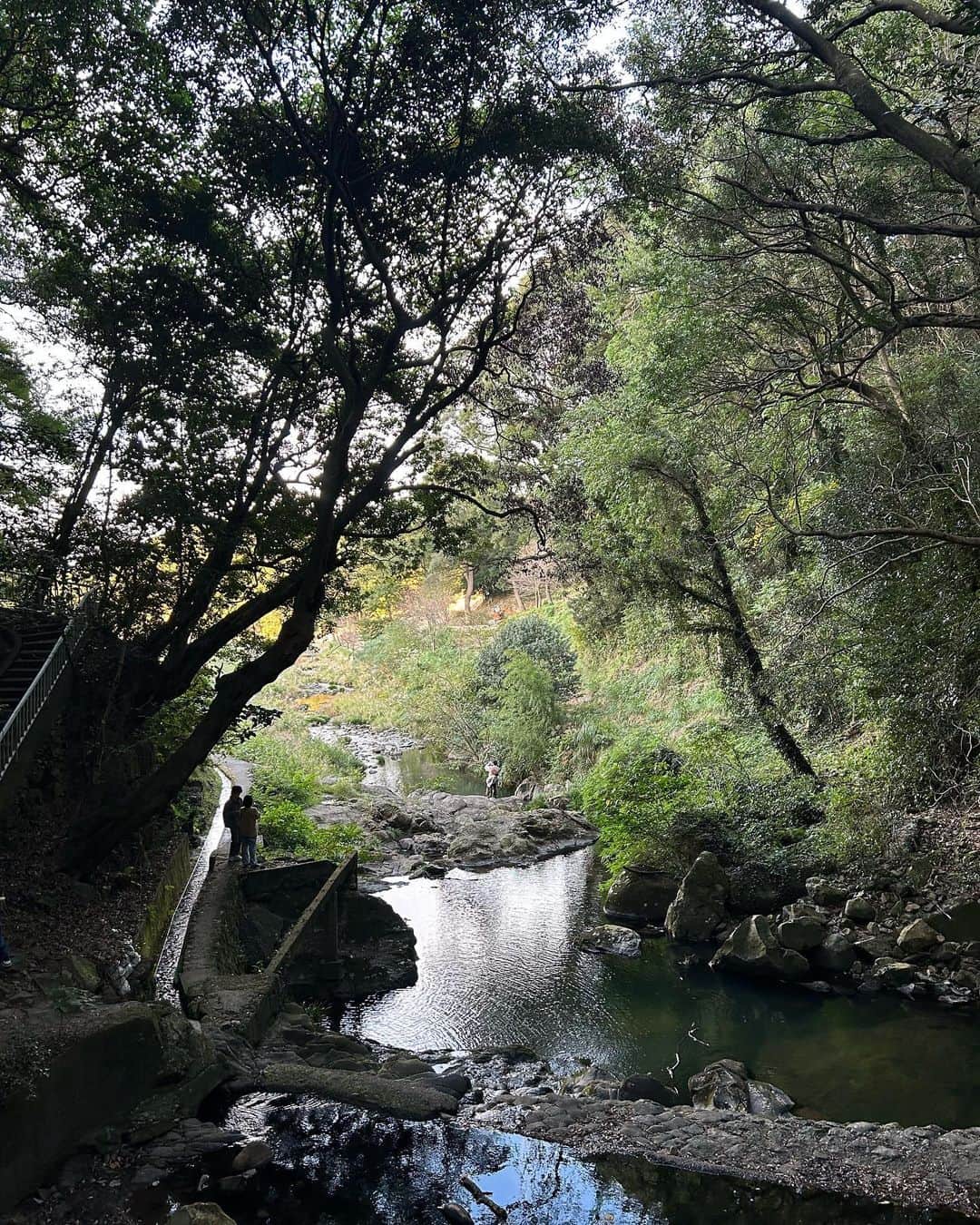 流稜太さんのインスタグラム写真 - (流稜太Instagram)「📍鮎屋の滝 淡路島にある唯一の滝に行ってきた🙆 愛も変わらず自然は素敵で居心地が良い。 #淡路島#鮎屋の滝#滝#自然#dime#dickeys」11月1日 16時56分 - nagare_ryota
