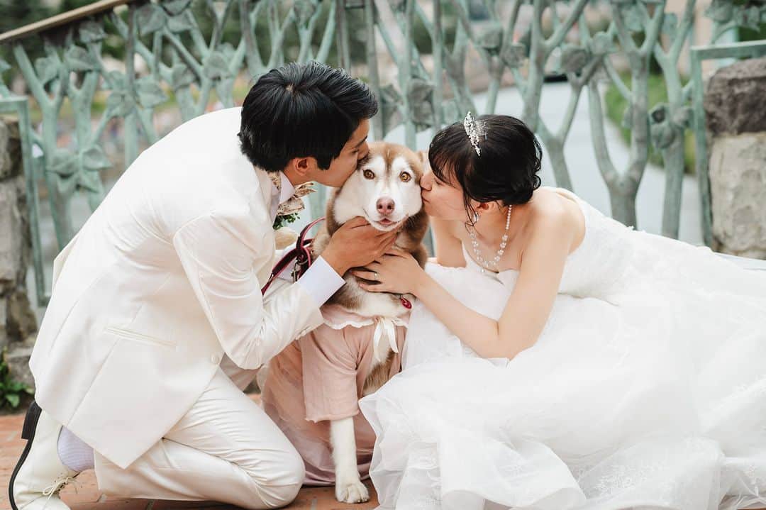 【公式】小さな結婚式さんのインスタグラム写真 - (【公式】小さな結婚式Instagram)「. @petit.wedding をフォローしてね♩ #小さな結婚式 をつけてのお写真投稿も大歓迎です♡ こちらの公式IGでリグラムさせていただきます＊ . 11月1日は”ワンワンワンの日”！  大切な家族の一員である愛犬も一緒に おふたりらしい一枚を未来に残しませんか？ . >>#小さな結婚式小樽店 . ——————— #petitwedding #ラヴィファクトリー #前撮り #結婚式 #プレ花嫁 #卒花 #家族婚 #少人数結婚式 #ウェディング #wedding #bridal #weddingdress #花嫁 #挙式 #結婚式準備 #式場探し #日本中のプレ花嫁さまと繋がりたい #結婚式の思い出に浸る会 #結婚準備 #北海道花嫁 #ウェディングフォト #結婚式前撮り #フォトウェディング #ロケーションフォト #ペットウェディング #小樽運河 #愛犬 #ペット婚」11月1日 17時00分 - petit.wedding