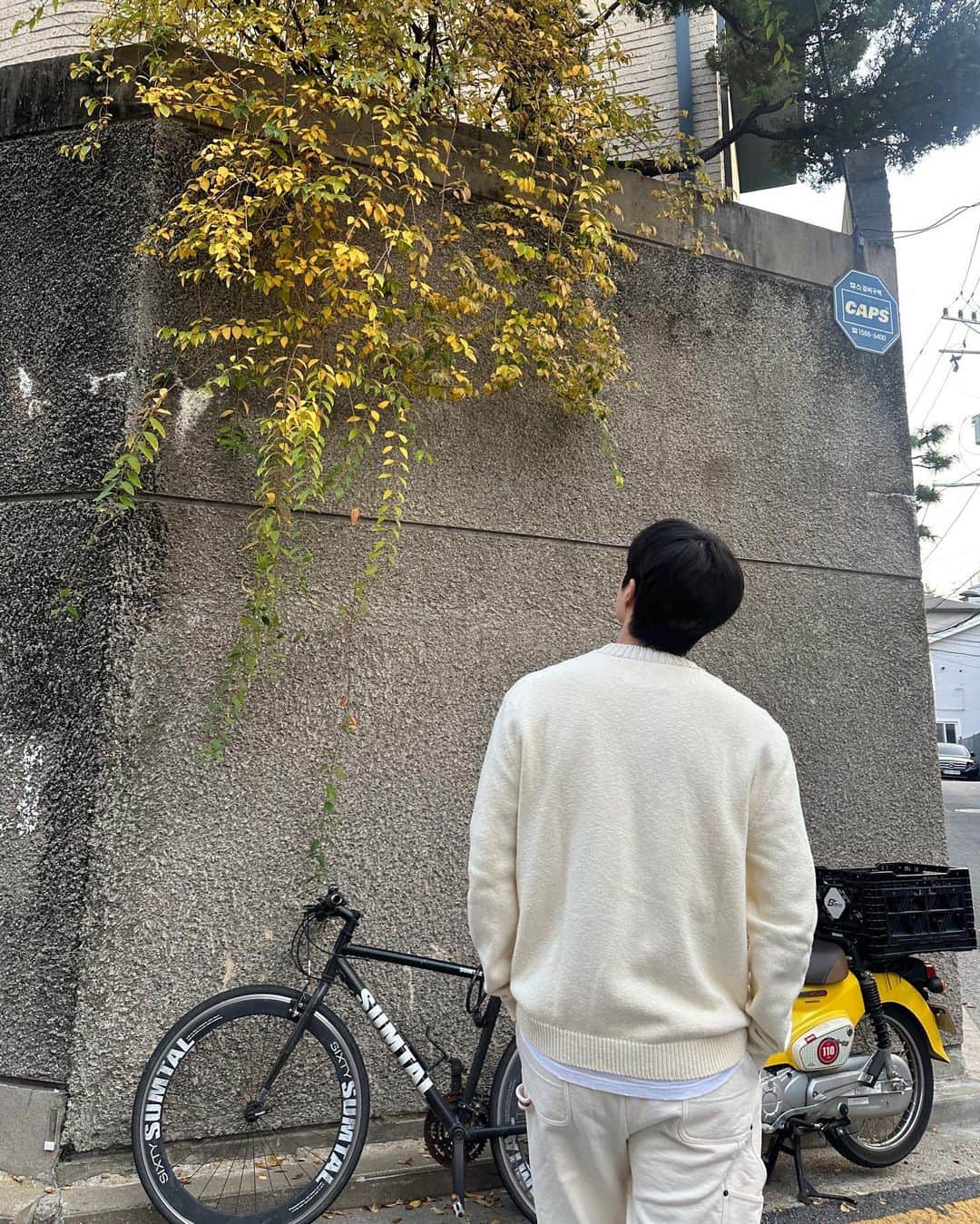 キム・ソンホさんのインスタグラム写真 - (キム・ソンホInstagram)「11월 :) 🍁🍂」11月1日 17時01分 - seonho__kim