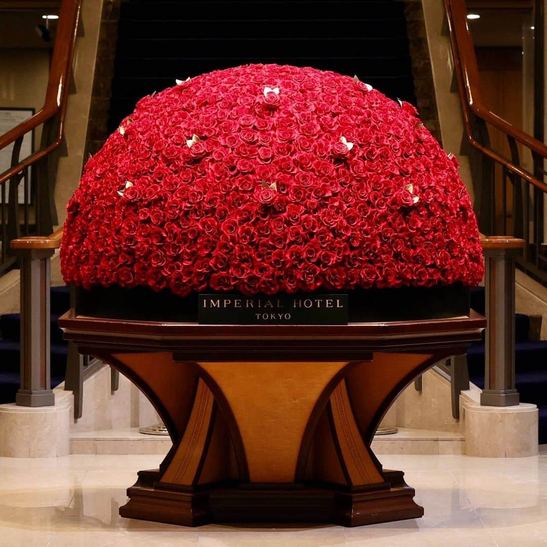 Imperialhotel_jp_帝国ホテル 公式のインスタグラム：「. ～赤バラのロビー装花～  写真を見て素敵！と思ったら🌹の絵文字でコメントください！  詳細は @imperialhotel_jp_official プロフィールリンクより「帝国ホテル 東京サイト」→「おすすめ情報」→「今月のロビー装花」へ。  **************  毎年ご好評いただいている赤バラのプリザーブドフラワーが今年も始まりました。 ダイヤモンド入りラメで装飾したバラがホリデーシーズンのロビーを彩ります。  こちらのロビー装花は、2024年2月29日（木）までお楽しみいただけます。 ※12月30日（土）～2024年1月7日（日）は和風庭園に変更いたします。  #japan#帝国ホテル#帝国ホテル東京#imperialhotel#hotel#imperialhoteltokyo#travellermade#ロビー装花#第一園芸#花のある暮らし#花#植物のある暮らし#flower#flowers#flowerstagram#ガーデニング#フラワーアレンジメント#映えスポット#インスタ映え#バラ#薔薇#赤バラ#赤薔薇#プリザーブドフラワー#今月のロビー装花#帝国ホテルのロビー装花#日比谷#銀座」