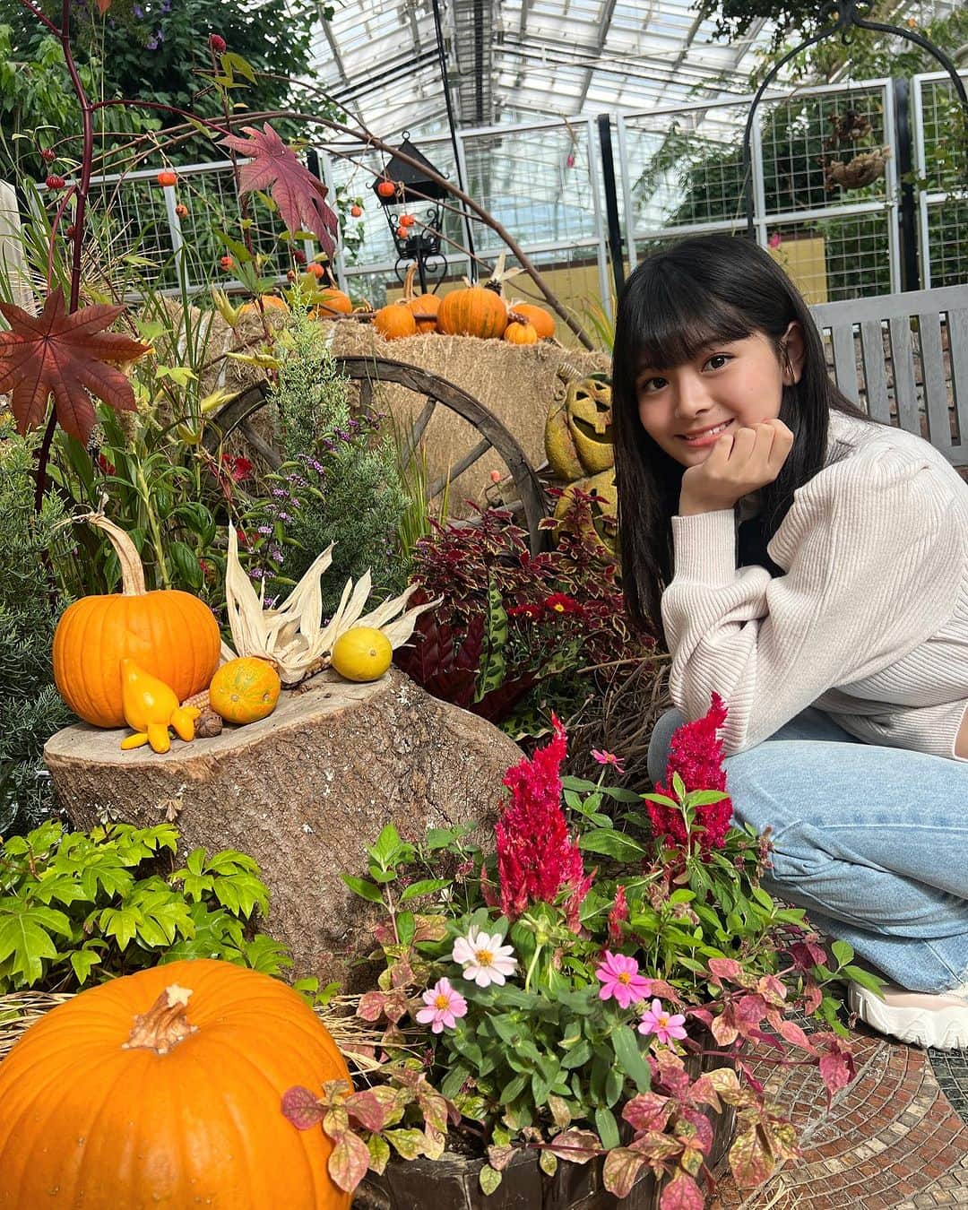 伊與田綾音のインスタグラム：「カボチャたくさん！🎃 ハロウィンはどう過ごしましたか？」