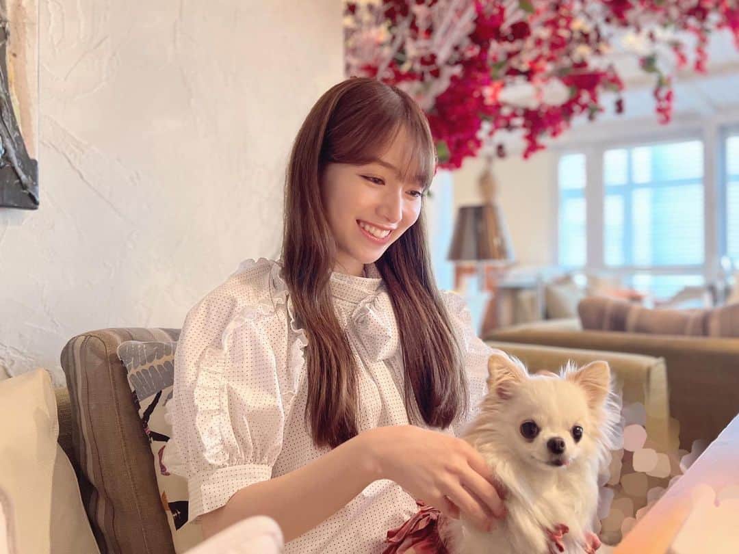守屋麗奈さんのインスタグラム写真 - (守屋麗奈Instagram)「♡ 11月になりましたね🍂 はやいーーー （写真は夏の思い出。）  11月は櫻坂46が初となるZOZOマリンスタジアムでのアニバーサリーライブがあります。 今は絶賛リハ期間中です☺︎ メンバーみんなで頑張っております！ ぜひ楽しみにしていてくださいね。  11月もよろしくお願いします😉🫶🏻  #櫻坂46  #sakurazaka46  #renagram  #チワワのモコちゃん #moco #ロングコートチワワ #チワワ #あざと犬」11月1日 17時41分 - rena_moriya_official
