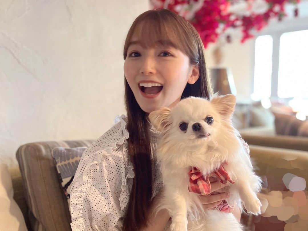 守屋麗奈さんのインスタグラム写真 - (守屋麗奈Instagram)「♡ 11月になりましたね🍂 はやいーーー （写真は夏の思い出。）  11月は櫻坂46が初となるZOZOマリンスタジアムでのアニバーサリーライブがあります。 今は絶賛リハ期間中です☺︎ メンバーみんなで頑張っております！ ぜひ楽しみにしていてくださいね。  11月もよろしくお願いします😉🫶🏻  #櫻坂46  #sakurazaka46  #renagram  #チワワのモコちゃん #moco #ロングコートチワワ #チワワ #あざと犬」11月1日 17時41分 - rena_moriya_official