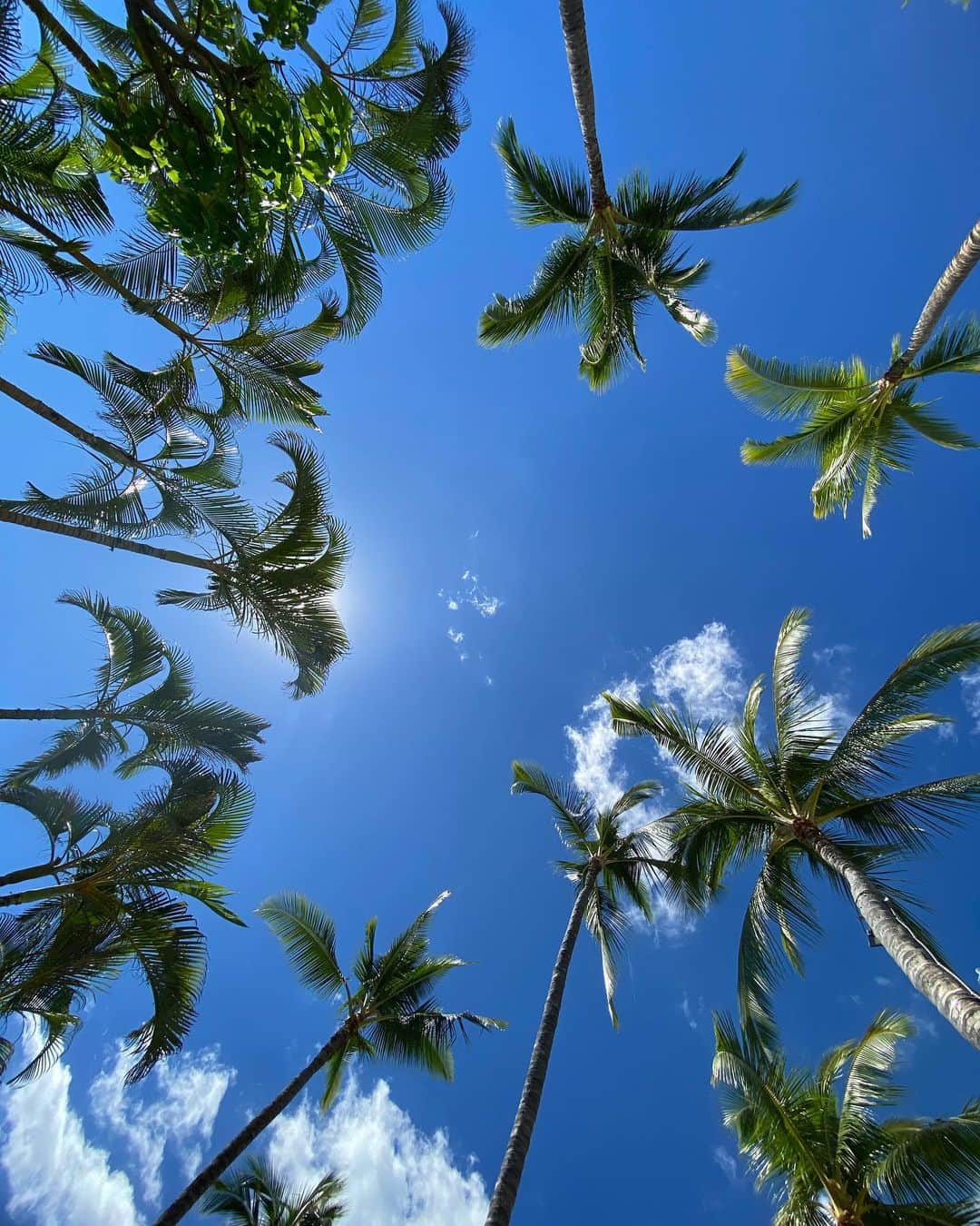 土屋希美さんのインスタグラム写真 - (土屋希美Instagram)「KoOlina Beach🏖 前半はこちらに滞在しました💁🏻‍♀️ 落ち着いてゆっくりと過ごせる場所。 #コオリナ #ハワイ旅」11月1日 17時41分 - nozonni