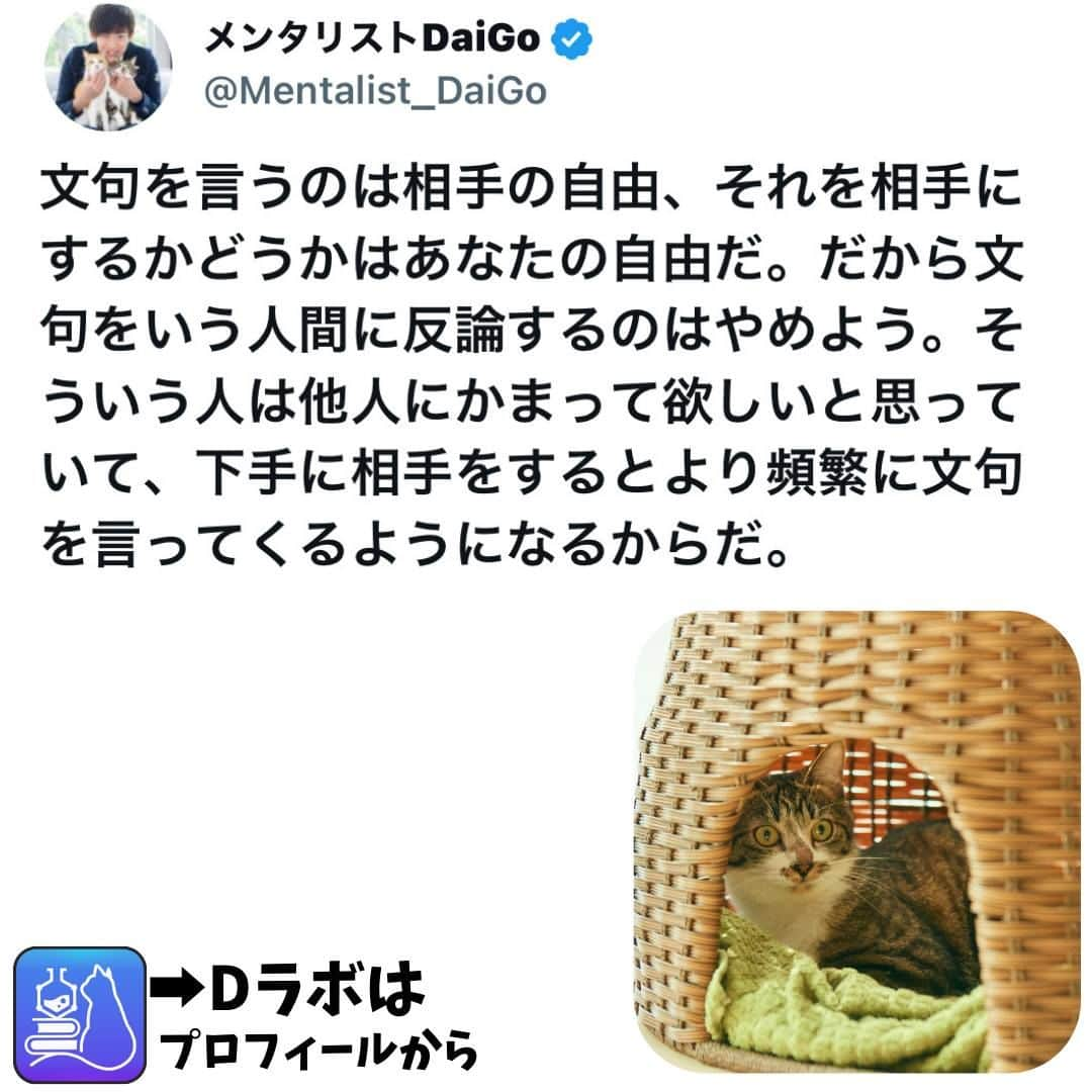 メンタリストDaiGoさんのインスタグラム写真 - (メンタリストDaiGoInstagram)「🐈本日の名言📚 プロフィールからDラボもみてね  #心理学 #メンタリスト #dラボ  #dラボはプロフィールから」11月1日 18時00分 - mentalistdaigo