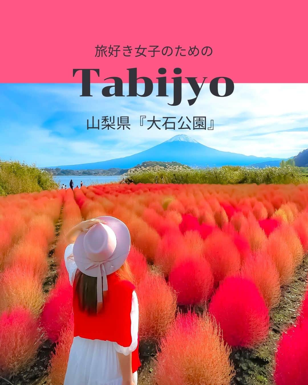 タビジョのインスタグラム：「他のスポットはここから👉@tabi_jyo  山梨県『大石公園』  本日の #タビジョ は ／ @yukimimi.yamauchi さんの投稿をシェア💛💙 ＼  ☻︎☻︎✈︎✈︎✈︎✈︎✈︎✈︎✈︎✈︎✈︎✈︎☻︎☻︎  本日は @yukimimi.yamauchi さんの投稿をリポスト🤍 山梨県河口湖にある大石公園では、 例年10月末頃まで真っ赤なコキアが見頃です😊 富士山とのコントラストもとっても綺麗☺️ 今から行く人は最新の紅葉情報をチェックしてから行ってみてね🫶🍂  ☻︎☻︎✈︎✈︎✈︎✈︎✈︎✈︎✈︎✈︎✈︎✈︎☻︎☻︎  @tabi_jyo アカウントでは旅先の新たな魅力を発信中✨ スポットや写真の撮り方の参考におすすめ💛 レポーター募集などはアカウントから配信しているよ👭 気になる方はフォローしてね🫶  #タビジョ #旅行 #tabijyo #国内旅行 #tabijyomap_japan #山梨旅行 #山梨県 #河口湖 #大石公園 #コキア #紅葉 #紅葉狩り #富士山」