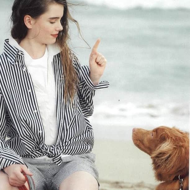 インディビジュアライズド シャツのインスタグラム：「Doggie even loves BENGAL STRIPES @and_premium  Press coverage:  & PREMIUM Dec Issue.  #individualizedshirts  #americantraditional  #madeinusa #ivystyle #mensfashion #mensstyle #インディビジュアライズドシャツ #スタイリング　#ファッション #andpremium  #magazinehouse」