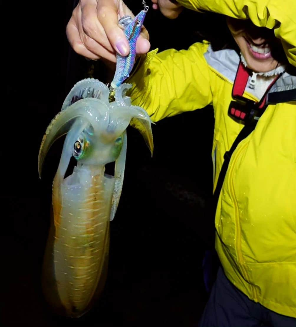 伊勢みずほのインスタグラム：「釣れたよ🦑私史上最大のアオリイカ！  胴長が20cm。  根掛かりかな？っからのギュイーン！ お気に入りのブルーのエギで✨  ありがたく大切に美味しく全ていただきます✨🙏🤤✨  お刺身かイカリングか一夜干しか🤔  #アオリイカ  #アオリイカ釣り  #エギング  #エギング速報  #イカ釣り #イカ釣り漁船  #エギンガー  #アオリイカレシピ 　教えて #釣り女 #釣り女子  #海の恵 #自然遊び #釣り #釣りフォト #エギ #伊勢みずほ #アナウンサー #感謝」