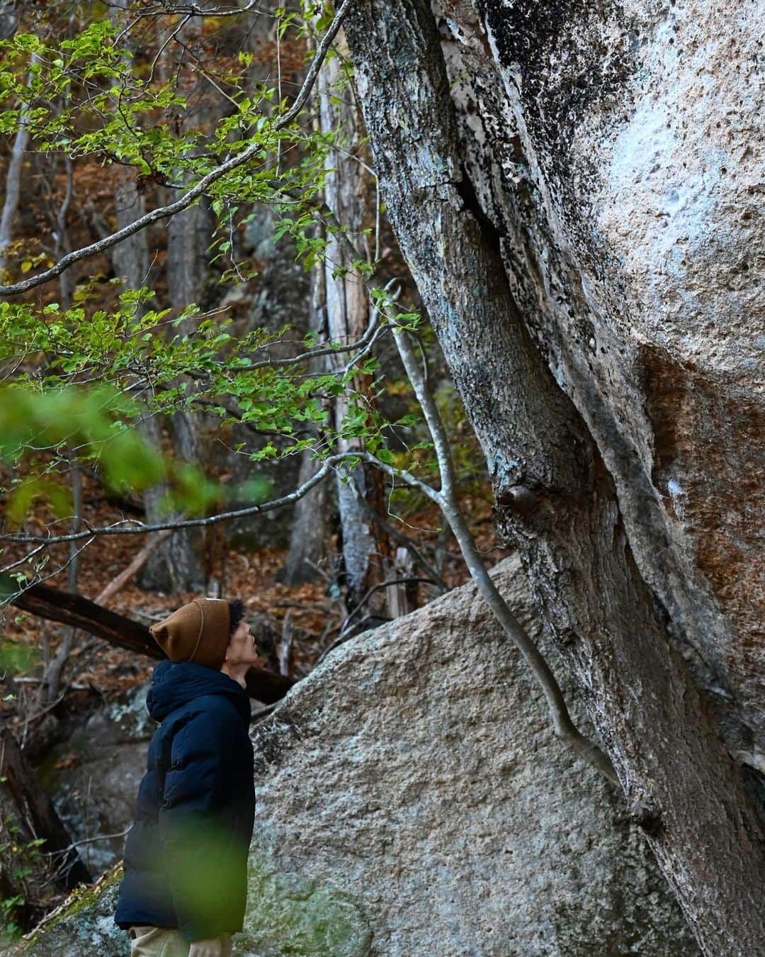 石松大晟のインスタグラム：「・ 次はいよいよ今年1の目標課題。 3週間後の帰省に向けて研究、対策、強化していくぞ。  @lasportivajp  @carbongrip  @mudhand_cb  @thoufun_official   #climbing #bouldering #rockclimbing  #climbing_pictures_of_instagram  #bouldering_pictures_of_instagram  #クライミング #ボルダリング #ロッククライミング」