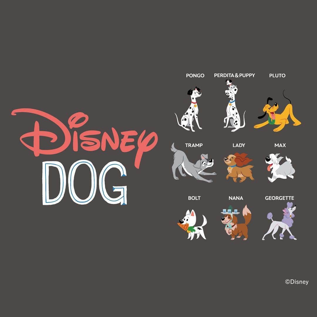 earth music&ecologyのインスタグラム：「本日、11月1日は「犬の日」！  earth music & ecologyではDisney Dog デザイン の可愛いスウェットが 好評発売中です！🐶  ディズニー作品好きの方はもちろん、 わんちゃん好きの方にもオススメです♡  ※イクスピアリ店・アウトレット店舗での販売はございません。  📎裏毛ｽｳｪｯﾄ/Goofy ¥4,499(税込) #item1W34L1C0140  📎裏毛ｽｳｪｯﾄ/Pluto ¥4,499(税込) #item1W34L1C0240   📎裏毛ｽｳｪｯﾄ/Lady and the Tramp ¥4,499(税込) #item1W34L1C0340  📎裏毛ｽｳｪｯﾄ/101 Dalmatians ¥4,499(税込) #item1W34L1C0440  📎裏毛ｽｳｪｯﾄ/Disney Dogs ¥4,499(税込) #item1W34L1C0540  #earthmusicandecology#アースミュージックアンドエコロジー #犬の日#disney#スウェット#スウェットコーデ#disneydog #わんわん物語#グーフィー#goofy#プルート#pluto」