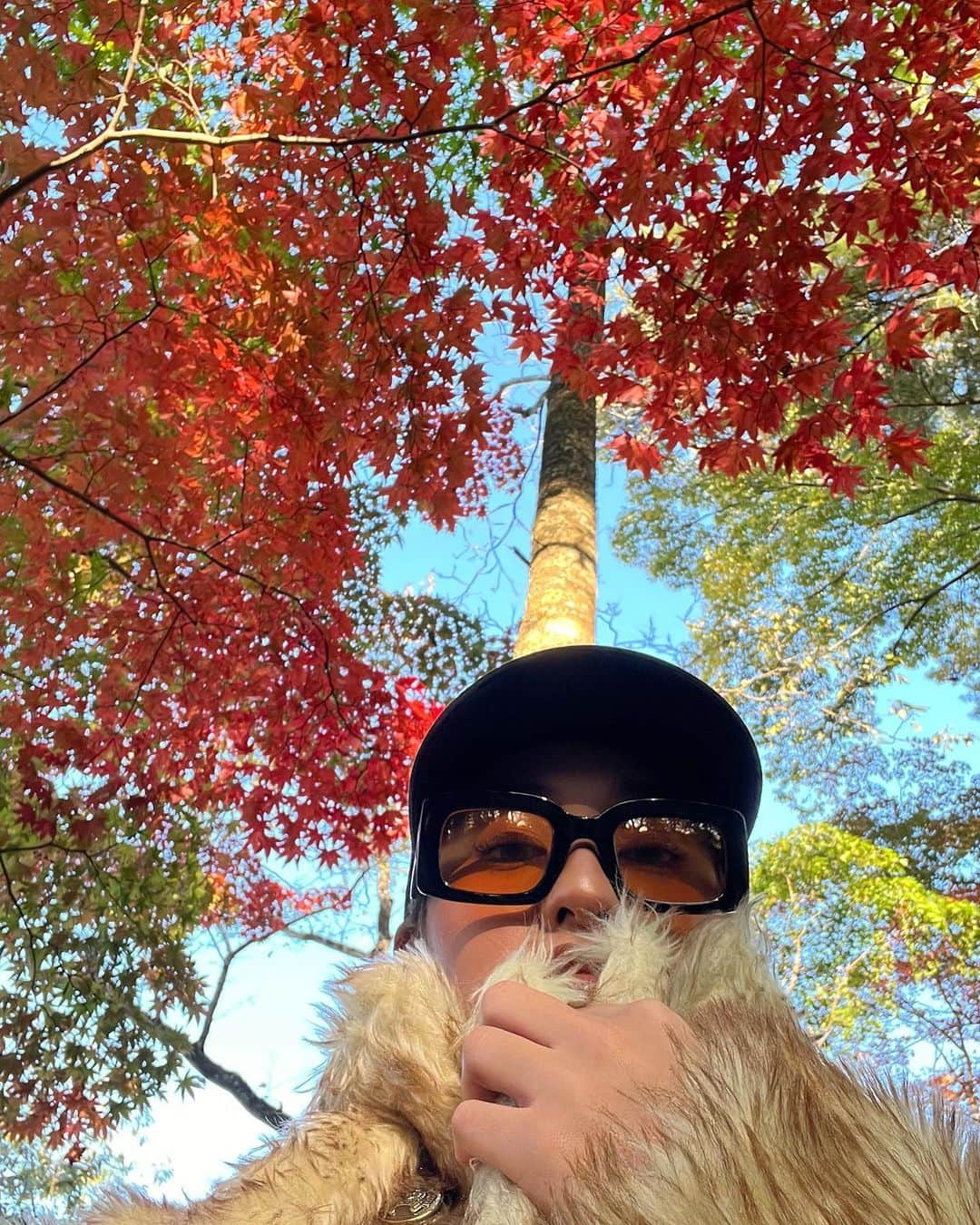 石川茉綺さんのインスタグラム写真 - (石川茉綺Instagram)「気付いたらめちゃくちゃ秋でした！！！ かぼちゃ大好き！！！」11月1日 18時34分 - maaya___0220