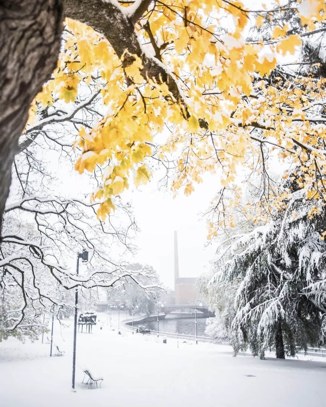 のインスタグラム：「❄️ 🍂❄️タンペレも雪景色に！昨日の朝9時の時点でタンペレにはすでに10cmも雪が積もっていたそうです。 ☃️  📸 Laura Vanzo / @visittampereofficial」