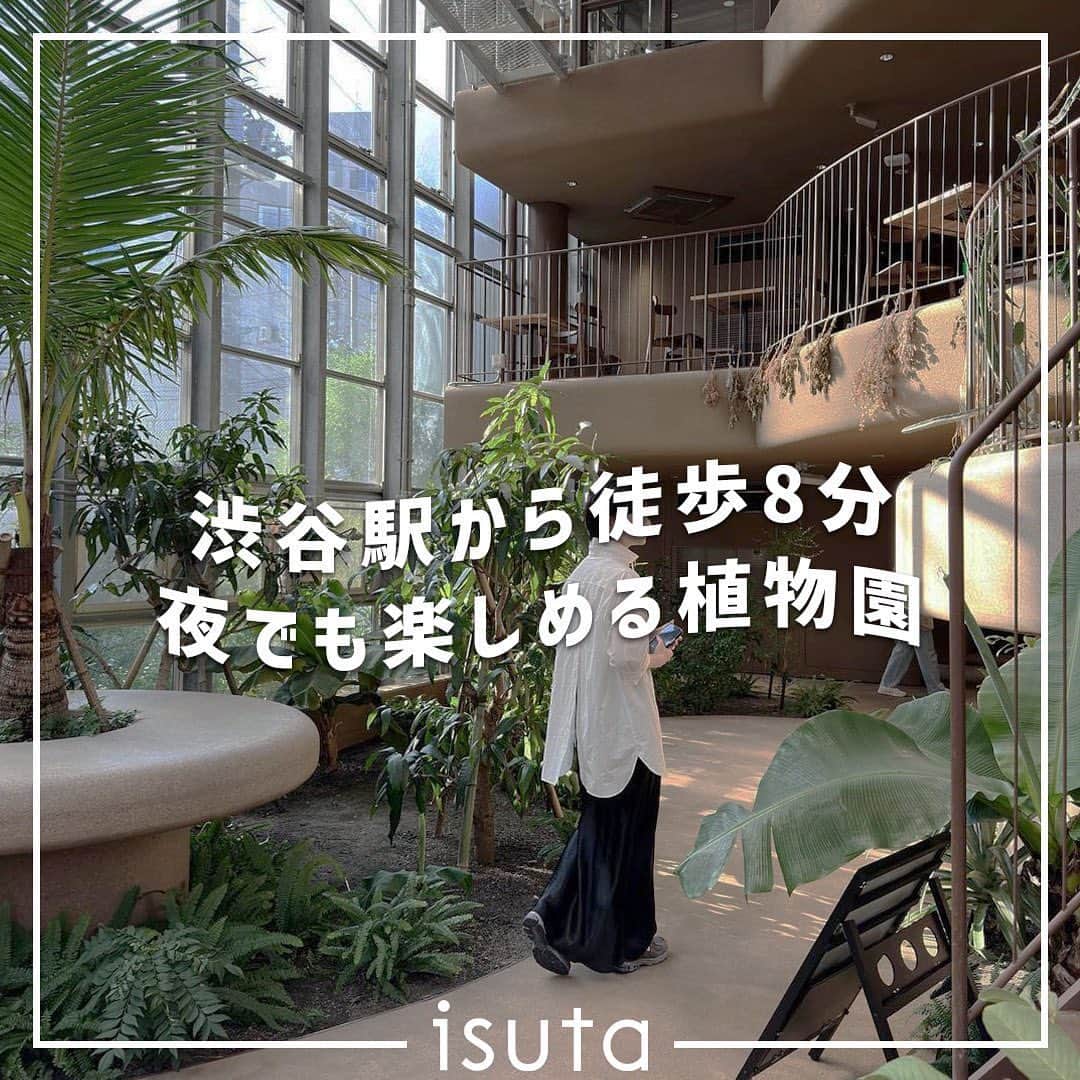 isutaのインスタグラム：「「日本で一番小さい植物園」と呼ばれる施設が、東京・渋谷にあるって知ってた？  2023年7月にリニューアルオープンした「渋谷区ふれあい植物センター」は、いま大注目のスポット。  10月5日（木）からは閉園時間が延長され、夜でも楽しめる植物園になったよ 🌙   普段と一味違う植物園が楽しめると、SNSを中心に話題を呼んでいるみたいだから、ぜひチェックしてみてね！  @shibuyakufureai   [渋谷区ふれあい植物センター] 住所：東京都渋谷区東2-25-37 開園時間：10:00～21:00　※入園は20:30まで 園内カフェ営業時間：ランチ 11:00〜15:00（L.O. 14:30）/ ディナー 17:00～21:00（L.O. food 20:00 / drink 20:30） 閉園日：月曜日、年末年始（12月29日～1月3日）※月曜祝日の場合翌日火曜休園 入園料：100円　※小学生未満と60歳以上は無料  photo by @hitoooomin_  @mkkrmc   ※お店の営業時間等は変更になる場合がございます。最新情報は公式HPやインスタグラムなどをご確認ください。  ✄————————✄  姉妹アカウント @i_am_isuta も更新中  isuta編集部の日常のひとコマや 取材の最新レポを発信しているよ️˖°  ほかにも、エディターが気になる カフェやファッション、コスメをご紹介.・* ぜひフォローしてね️  ✄————————✄  #isuta#isutapic#イスタ #渋谷区ふれあい植物センター#ライトアップ  #カフェスタグラム#カフェ時間#カフェ巡り#カフェ活 #渋谷カフェ#渋谷グルメ#渋谷ディナー#植物園 #植物好き#植物が好き#植物が好きな人と繋がりたい #植物好きと繋がりたい#夜の植物園#緑がいっぱい #緑が綺麗#モヒート#ハンバーグ#癒しスポット #リラックスタイム#フォトスポット#休日のすごしかた #休日ご飯#お出かけ情報#お出かけ好き#おでかけスポット」