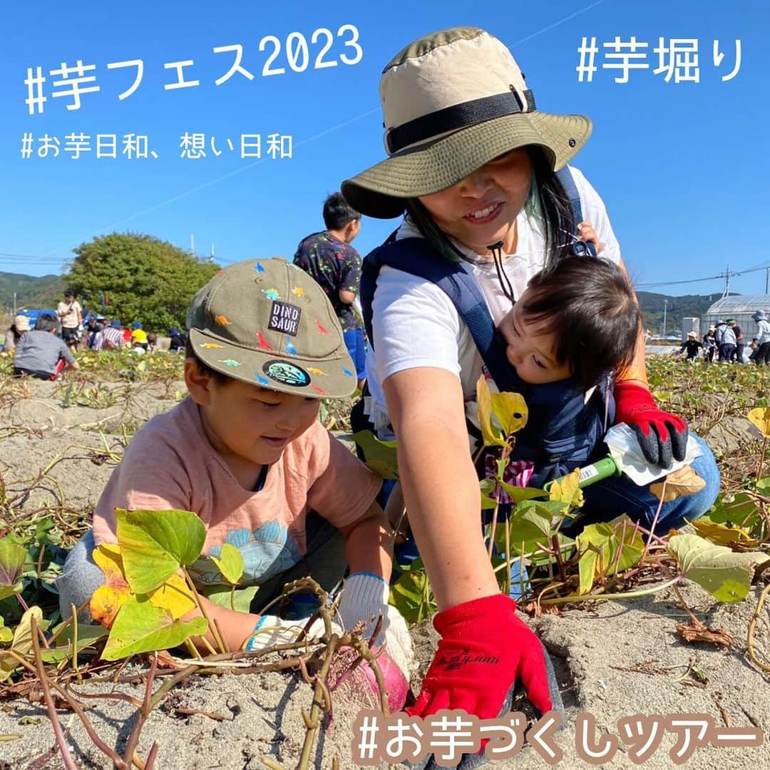 おいもやのインスタグラム：「. ＼沢山のご来場、ありがとうございました！／ #芋フェス2023 ～お芋日和、想い日和～  お芋ツアーにご参加くださった皆さま、 お店まで足を運んで下さった皆さま、 ご来場いただきありがとうございました！  今までにないツアー形式での開催ということで、お客様に楽しんでいただけるかドキドキしておりましたが… 当日は沢山の笑顔を拝見でき、とっても嬉しかったです🥰❣  また来年も皆さまにお会いできますよう、 スタッフ一同またのご参加を心よりお待ちしています♪  追伸 ぜひベストショットが撮れた方は、#芋フェス2023 のハッシュタグをつけて投稿下さい📸💛 皆さまの芋フェスショット、楽しみにしております！  #おいもや#静岡#掛川#お芋スイーツ専門店#お芋スイーツ専門店おいもや#芋掘り#野外イベント#野外フェス#収穫祭#さつまいも#焼き芋#干し芋#紅はるか#お芋スイーツ#ゆるキャラ#縁日#体験型イベント#芋フェス#🍠」