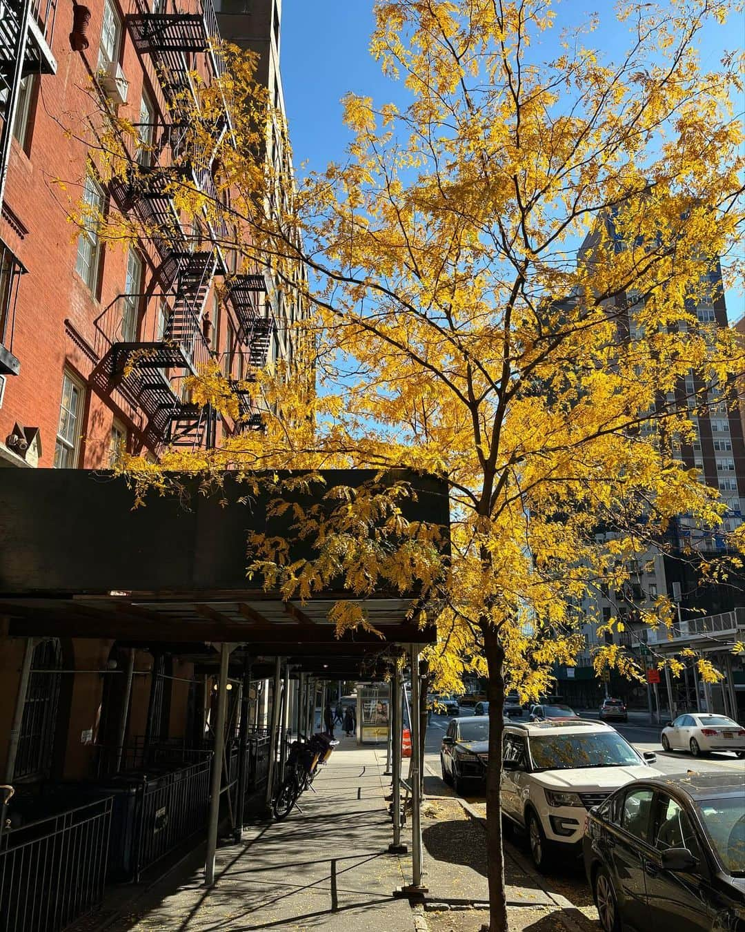 メラニー・サイクスさんのインスタグラム写真 - (メラニー・サイクスInstagram)「Morning  I'm so inspired by my trip to New York.  Every street I went down is imprinted on my mind. The movies and TV shows all set here just come to life in this magnificent city. That said, nothing can quite capture its true vibe.  If you haven't been, it's a must It was a real privilege to be there, and everyone I met, was kind, helpful and fun.  The energy is uplifting and I cannot wait to go back. Here's some photos of the things I saw and places I visited. Have a fabulous day all #newyork #fall #centralpark #metropolitanmuseumofart #trees #skyscrapers  #sky  #reflection #inspiration #sunshine #newyorkcity #brooklyn #timessquare #thechurchoftheheavenlyrest #photography #highvibe」11月1日 18時55分 - msmelaniesykes