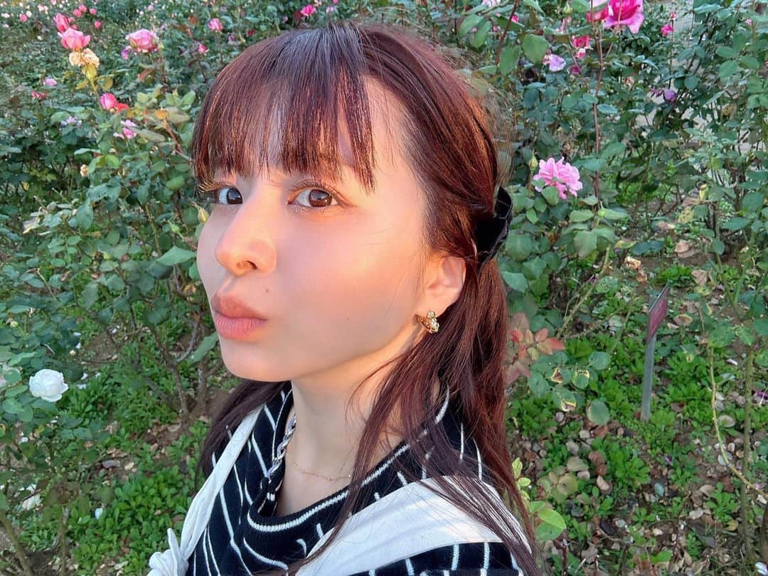 田中優衣のインスタグラム：「薔薇園でお散歩。 1日30分〜1時間はウォーキング。 付き合ってくれてありがと〜🐶♡  去年から準備していたピアス。 今日から販売になりました♡ サンプルから色々なパターンのデザインを 考えてその中から3つを販売しています♡ 意味を込めてプレゼントされたら嬉しいアクセサリー。 "love you lots" の略でlyl(リル)という名前にしました。 @lyl.jewelry.official   初回注文受付は11/15までです🤍」