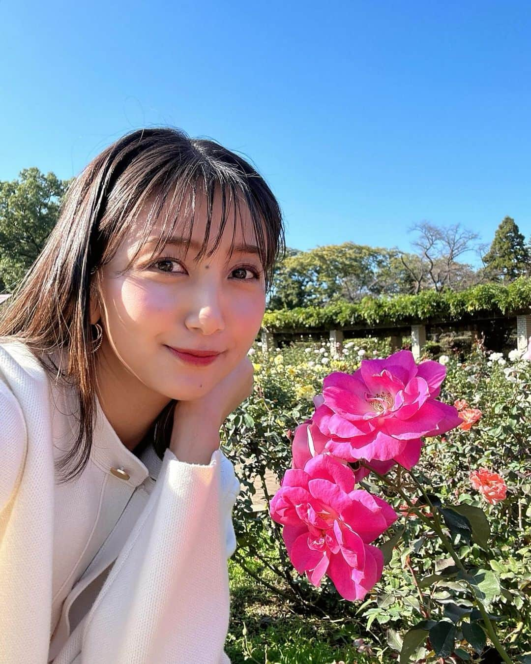 近藤夏子のインスタグラム：「.    #ひるおび中継 神代植物公園で行われている 秋バラフェスタ🌹 　  秋のバラは春に比べて香りも強く、鮮やかなんだそう。 幸せなバラの香りに包まれながら 晴天の中、中継ができました💗 　 　 たくさんの方がカメラを持ってバラを見にきていました😊  中継を見ていた祖母から連れて行って〜と連絡が来たので 一緒に行きたいと思います✨ 　 　 . #神代植物公園 #秋バラ #バラ園」