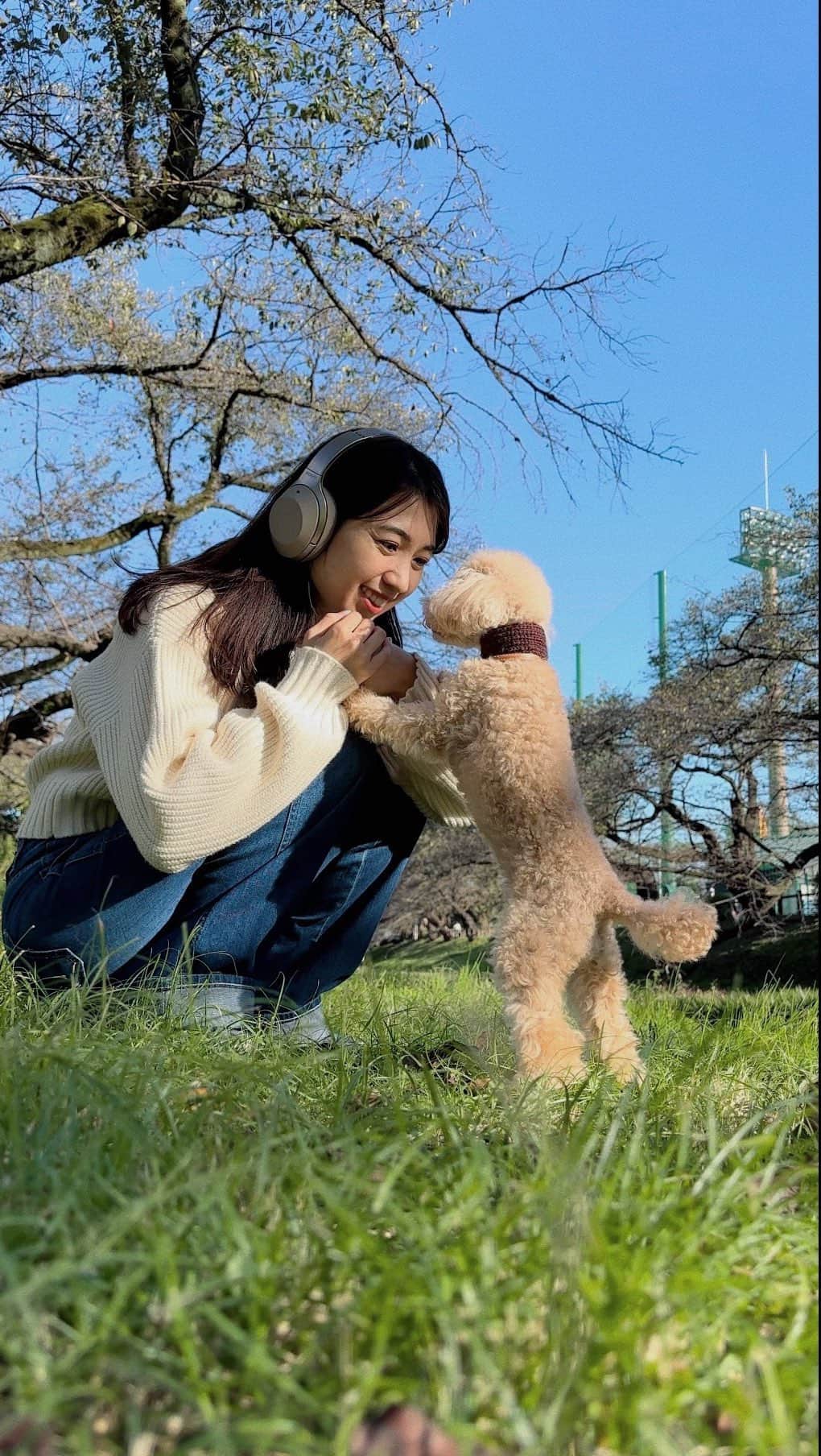 mikicoco00のインスタグラム：「・ ・ わんちゃんと撮ってる方達が可愛いくて...♡ めるとマネっこ🙊🐶🐶 上手く撮るのは難しかった🤣 あんちゃん興味なし...😀🌱笑 🐩 @unmelsan   11月もよろしくお願いします♡   #犬の日#わんわんわん #あんめるさん #トイプー#dog#手編みマフラー #秋ファッションコーデ」