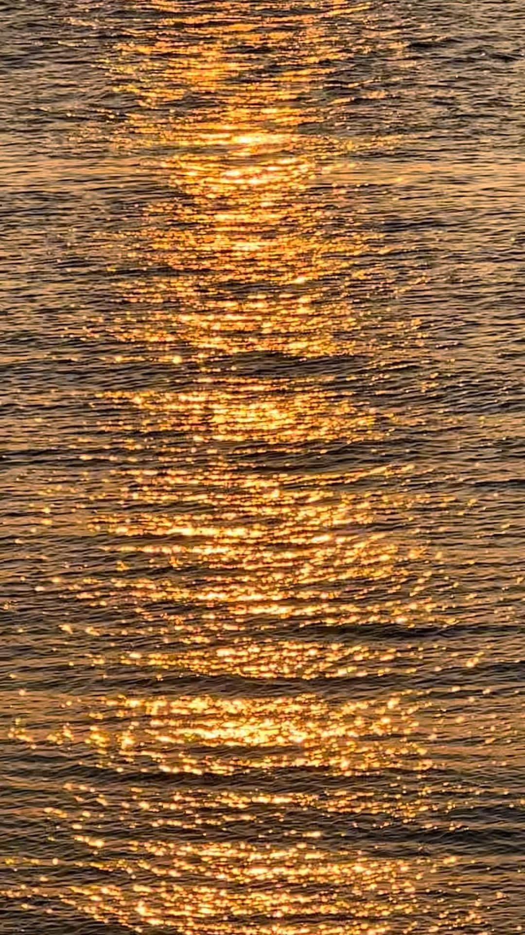 瀬畑茉有子のインスタグラム：「. . My paradise 🚢 . . 📍香川県/女木島  #kagawa  #megijima  #naoshima  #sunset #sunsetphotography  #sealovers  #travelphotography  #香川  #高松市 #女木島 #海宿鬼旬 #瀬戸内海 #直島#nature #nature_shooters #nature_perfection #eveningsky #eveningsun #firesky   #sunset_super_pics  #sky_sea_sunset #sunset #sunrise_sunset_photogroup #sunrise_and_sunsets #raw_skies #reelsinstagram #reelitfeelit #naturesms」