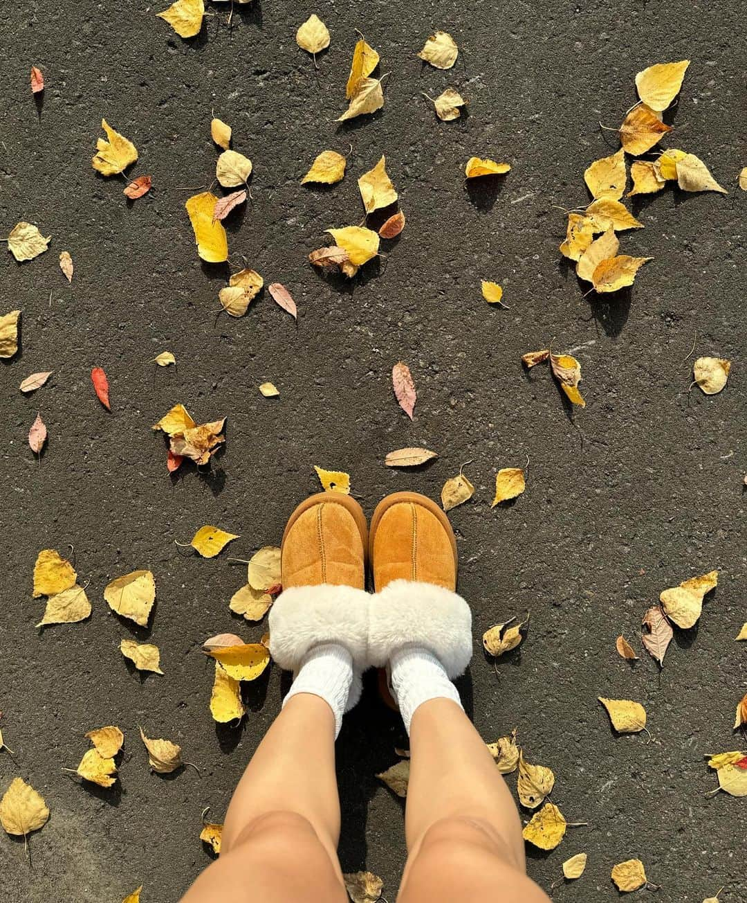 加藤夏歌さんのインスタグラム写真 - (加藤夏歌Instagram)「🍂🍂 . 少し落ち着いたので帰省しております✈️ 北海道はもう秋なのであります！！ . 紅葉×ムートンは最強にかわいい。 むーとんさんは　@select_coco8 でし♡ .」11月1日 19時34分 - _.nnk0728._