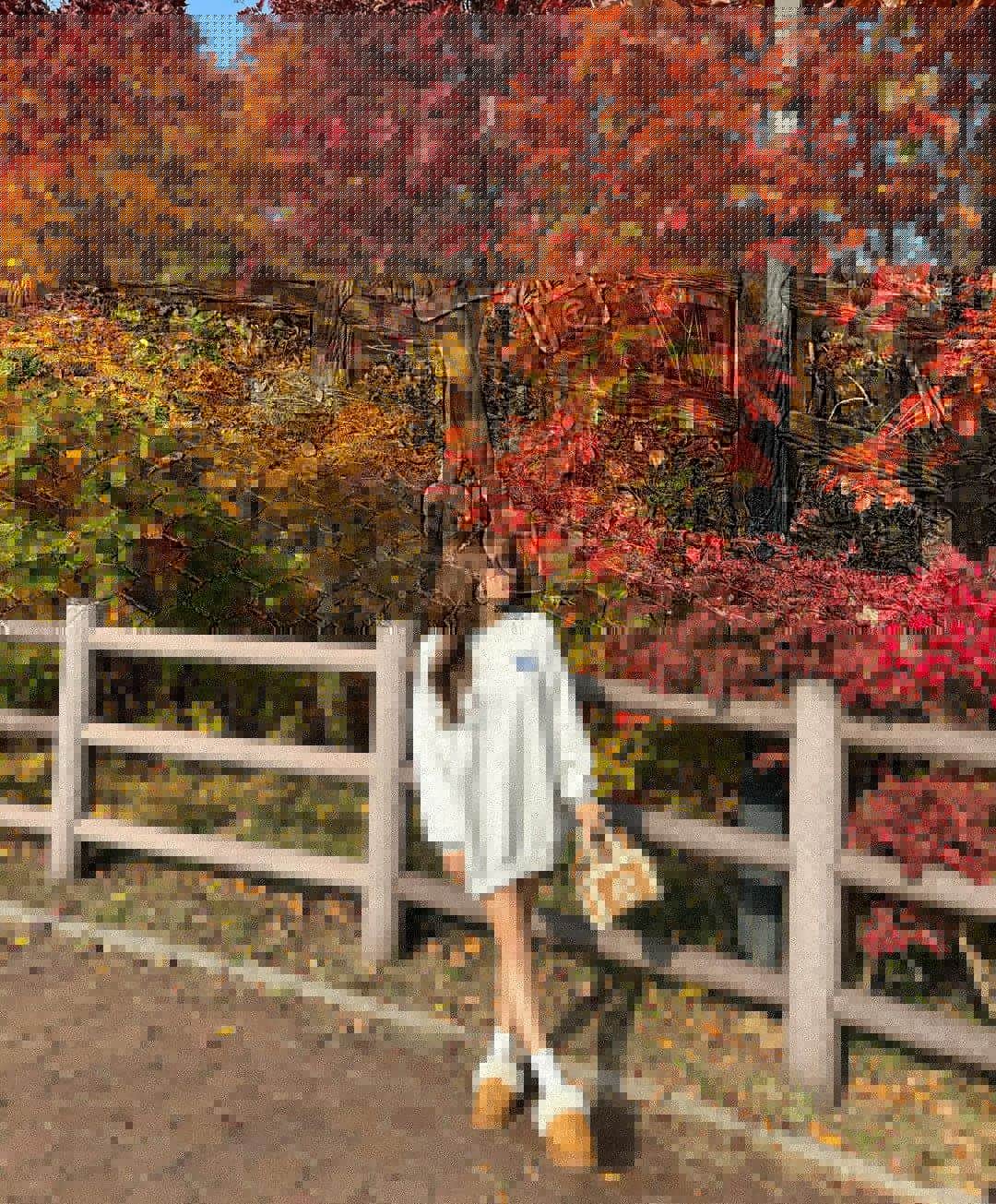 加藤夏歌のインスタグラム：「🍂🍂 . 少し落ち着いたので帰省しております✈️ 北海道はもう秋なのであります！！ . 紅葉×ムートンは最強にかわいい。 むーとんさんは　@select_coco8 でし♡ .」