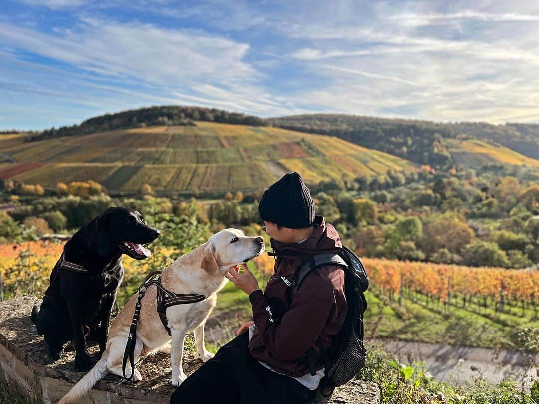 原口元気のインスタグラム：「Esslingen」