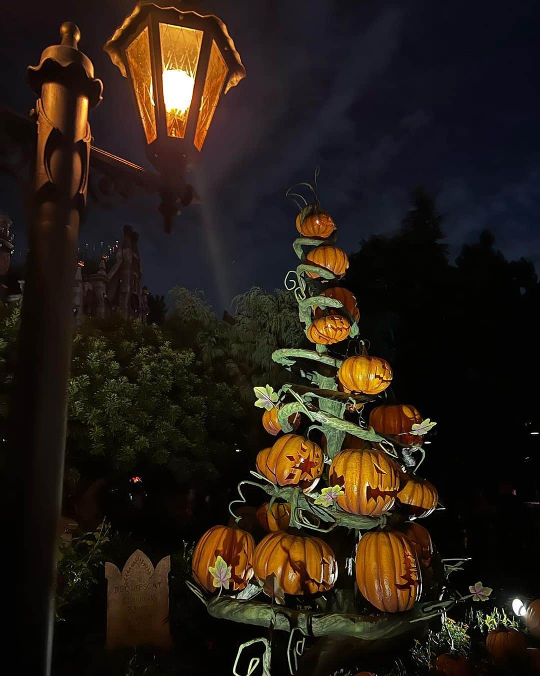 熊崎晴香さんのインスタグラム写真 - (熊崎晴香Instagram)「⁡ ⁡ 遅れたハッピーハロウィン🎃 念願のDハロ🥺❤️ ⁡ 幸せでした！ ⁡ 11月も素敵な1ヶ月になりますように！！ ⁡ #ハロウィン #Halloween #ディズニー #disney #Disneyland #dハロ」11月1日 19時52分 - kumakuma9810