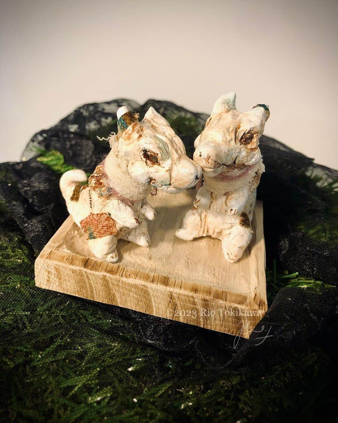 時川りおさんのインスタグラム写真 - (時川りおInstagram)「Tiny Dragon 2023, 6cm, ceramic/old cloth  element:Earth "Tiny dragons, they don't know what they are yet. They can't fly and they can't crash. The world is still full of things they don't know. They wonder if they will be able to go far someday. "  †††††††††††  「幼竜さん」 2023 陶/古布　6cm 完売(お客様のご厚意でしばらく会場にいます)  陶土にアンティーク布や自身で染色したガーゼを装飾した小さな竜さんたち。  人が竜というモチーフに惹かれるのは 過去に存在した恐竜の存在の影響かも もしかしたらいま文明を築いていたかもしれない彼らへの想い。  エレメント:土 「幼竜さん、まだまだなんにもわからない。飛べもしないので墜落もしない。世界はまだまだ知らない事でいっぱい。いつか遠くにいけるかな。たのしいな。」   #ceramic #陶  #ceramicart #人形  #竜　#newcontemporaryart #originaldoll 　 #dragon #ドラゴン 　#fantasyart　#創作人形　#fantasyanimal #artdoll #sculpture #幻獣　 #craftart #riotokikawa」11月1日 20時03分 - riotokikawa_doll