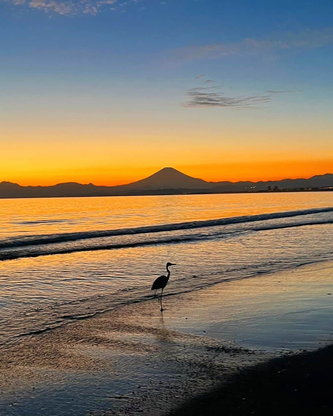 一双麻希 のインスタグラム：「11月突入。 この前、富士山と共にとても美しい夕暮れの景色が見られました。😌🦢🌊 もうすっかり冬の空で✨ 富士山と海、夕日、水鳥と、なんだか日本っぽい風景。😌  10月は何だか気持ち的にバタバタと忙しなく。笑 良い時期なのに山にも行けず悔しかったのですが🥲 ぷらっと自然を少しでも感じられる場所に出かけて、 こんな美しい景色を眺めて一息つくだけでも、 私にとってすごくリフレッシュになるんだなと感じます😌 大事な時間。🍃 ひとけがない海の波の音っていいなぁ。  #江ノ島 #湘南 #片瀬江ノ島   #藤沢 #江ノ島海岸  #日本の絶景 #富士山が見える場所 #旅好き #旅好き女子  #国内旅行 #江ノ島観光 #野鳥写真 #野鳥撮影 #アウトドア女子 #海が好き #女子旅 #自然が好き #旅が好き #自然写真 #海写真 #山好き #山ガール #旅好きな人と繋がりたい #japantrip #japanview #enoshima #sunset #naturephotography #shonan #mtfuji」