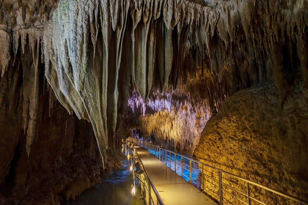 Be.okinawaさんのインスタグラム写真 - (Be.okinawaInstagram)「Out of the 600 limestone caves you can find in Okinawa, the Gyokusendo Cave is considered the most beautiful among them and is home to over one million stalactites😮    Although over 300,000 years old, the environment is a well-maintained and safe underground exploration site. Located within Okinawa World, it's easily accessible and offers numerous other activities!   #japan #okinawa #visitokinawa #okinawajapan #discoverjapan #japantravel #okinawanature #okinawaexperience  #okinawacave #limestonecave #ancientcave」11月1日 20時00分 - visitokinawajapan