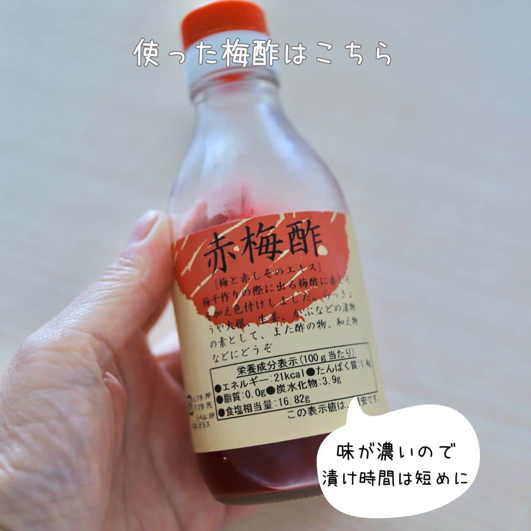 maki ogawaさんのインスタグラム写真 - (maki ogawaInstagram)「赤大根と大根のお花おにぎりです。  それぞれピーラーで薄くスライスし、 すし酢 梅酢 に漬け込みます。  梅酢がとっても濃いので 漬け込む時間は短めに。 (もしかしたら梅酢に少し水を加える等しても よいのかもしれません。 今度試してみます)  お花おにぎりの作り方動画を撮ったので 近いうちにアップします。  また、茄子の漬物の漬け汁に漬けると 大根が青く染まります。 こちらも近いうちに撮ってみたいと思います。  お花おにぎりは 塩にぎりではなく 寿司飯にしてもOKです。 中心にツナや 個人的にはクリームチーズとスモークサーモン を足してもよいんじゃないかなーと 考えてます。(こちらも今度やってみますね🥰)  🎀🎀🎀🎀🎀🎀🎀🎀🎀🎀🎀🎀🎀 Maki Ogawa Cuteobento Club 一斉配信始めました。 メンバー登録してくださった方、ありがとうございます。 一斉配信では これまでアップしていないお弁当などを含めて 日本語、英語両方で発信します。 登録よろしくお願いいたします🥰 🎀🎀🎀🎀🎀🎀🎀🎀🎀🎀🎀🎀🎀🎀 #すし酢 #寿司弁当 #お花寿司  #キャラ弁 #お弁当 #おうちごはんlover  #フーディーテーブル  #フーディ」11月1日 20時08分 - cuteobento