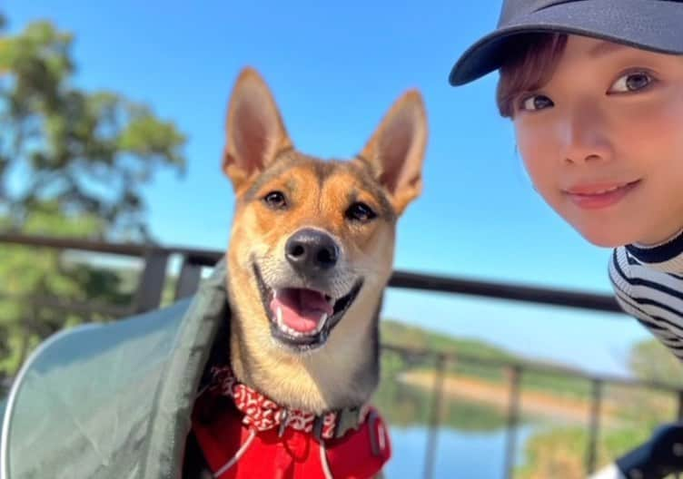 紗倉まなのインスタグラム：「🐶女王様！一緒に撮っていただきありがとうございました！！！」