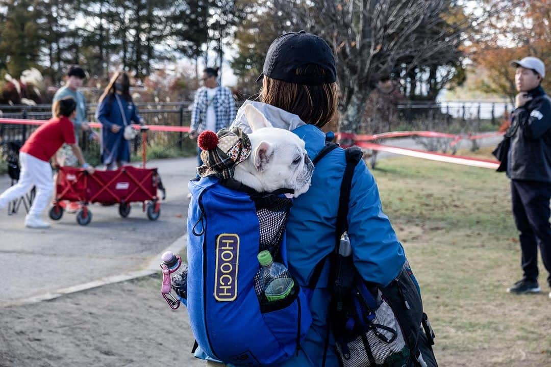 French Bulldog Lifeのインスタグラム：「【フレブルLIVE 2023スナップ📷⚡️】 フェス慣れしている感じ、ステキです！  入場口の様子だけど、すでにお疲れモードかな…？笑  #フレブルLIVE #フレブルLIVE2023」