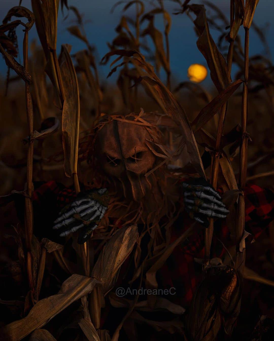 Andreane Chamberlandのインスタグラム：「be careful in the dark you never know who you might run into…」
