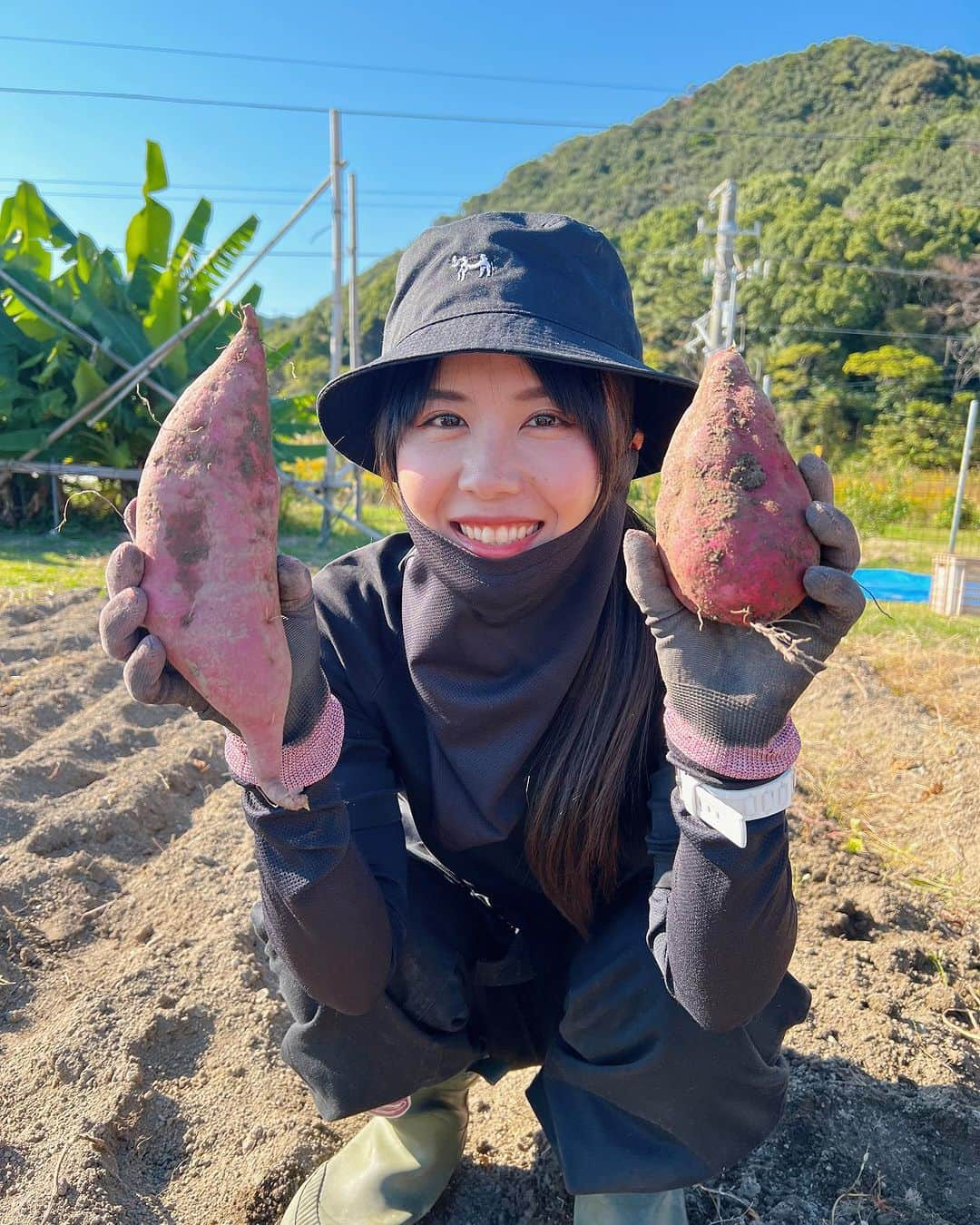 そらなさゆりさんのインスタグラム写真 - (そらなさゆりInstagram)「⁡ ⁡ ⁡ 今日は3畝残していたサツマイモを全部掘りきりました😊 ⁡ ⁡ 大きいのもあって嬉しい✨ ⁡ ⁡ 何にして食べようかな〜✨ この後はえんどう豆やスナップエンドウを植える予定です！楽しみ！ ⁡ ⁡ そして早く釣りにも行きたい... ⁡ ⁡ ⁡ #そらな農園 #農園 #畑 #家庭菜園 #農業 #サツマイモ #イモ #芋掘坂係長 #釣り #何の幼虫 #いまだになり続ける万願寺とうがらし」11月1日 20時44分 - sayuri_solana