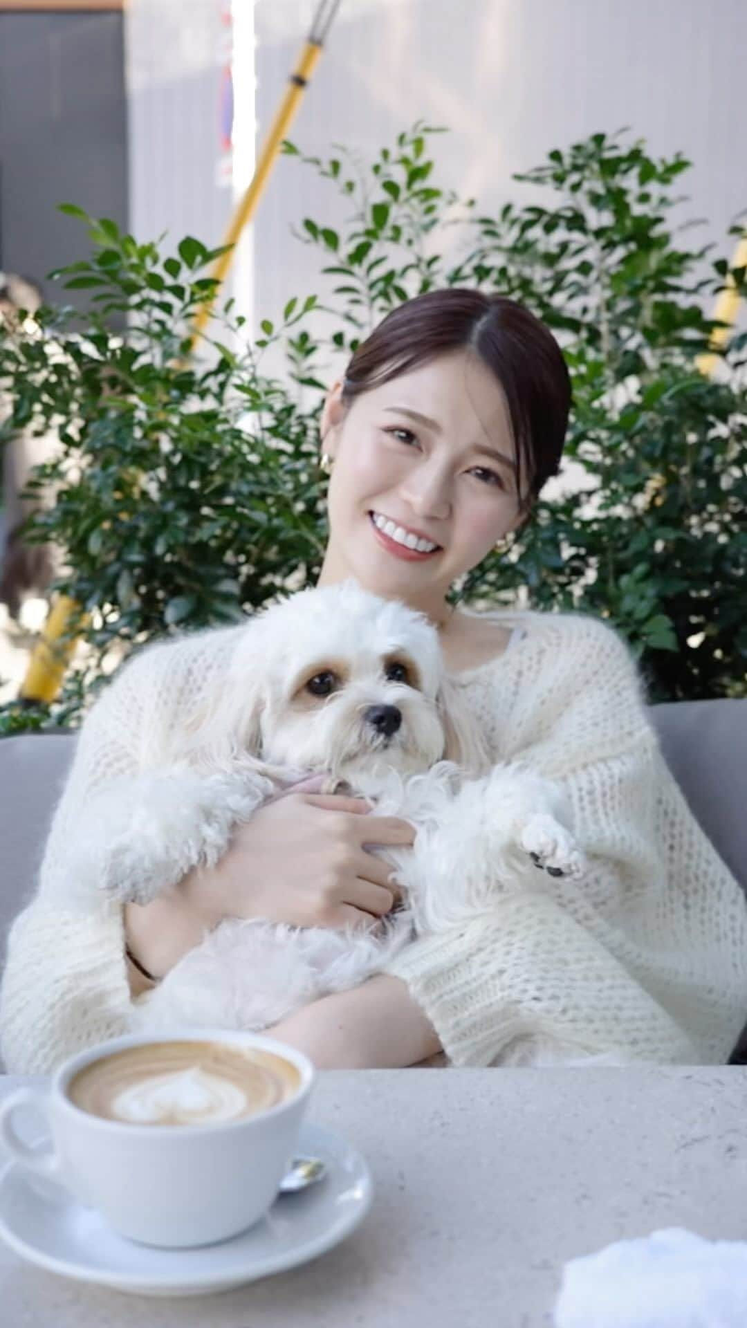 井口綾子のインスタグラム：「きょうは犬の日らしいから🐶💛🩵」