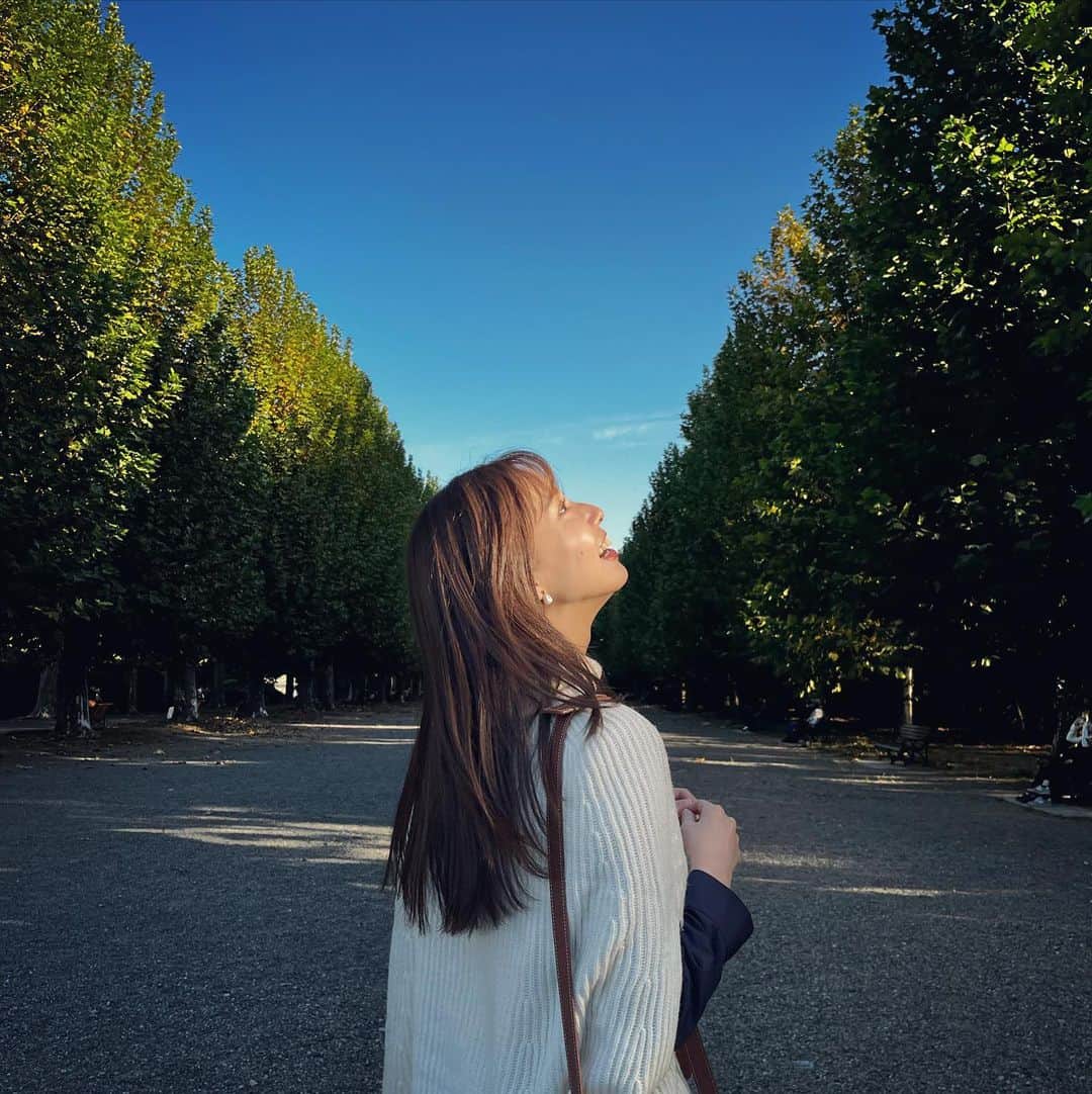 のインスタグラム：「. 今日から11月とは思えない暖かさだった🌲 . がんばろう、今月も ぜんぶぜんぶありがたい . . #november #11月 #まだまだ秋でいて」