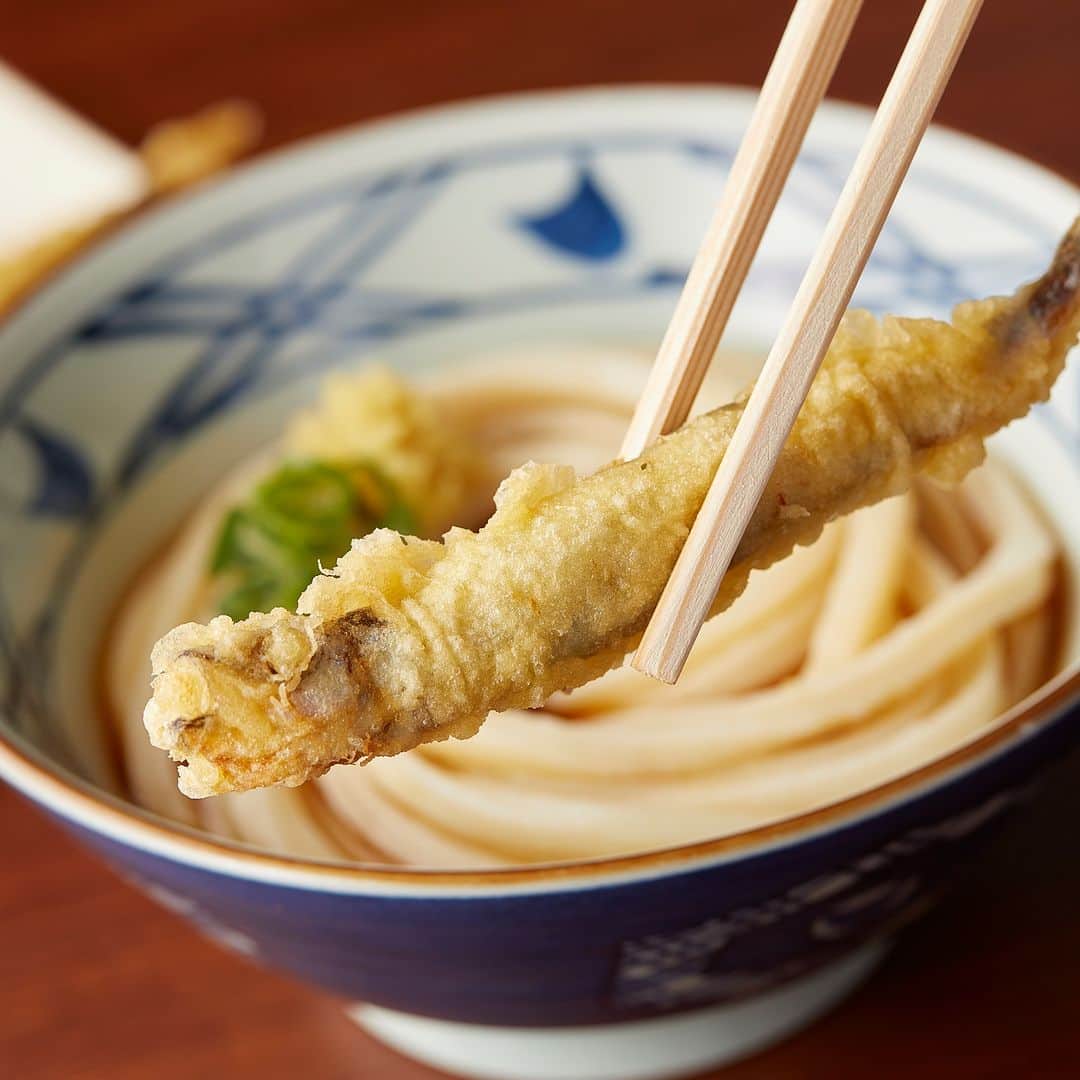 丸亀製麺さんのインスタグラム写真 - (丸亀製麺Instagram)「期間限定天ぷら食べたいと思ったら「🥢」で教えてください！  今月も旬の味わいが楽しめる季節限定天ぷらが登場！ ラインナップはこちら👇  🥢味も見た目も大満足！丼ぶりよりも大きい #ジャンボカニカマ天  🥢淡白な身の味わいと、プチプチ食感がくせになる #子持ちししゃも天 🥢だしが香る、しっかりとした歯ごたえの #細竹天  この機会にぜひお試しください😋  ※一部取扱のない店舗がございます。  #丸亀製麺 #丸亀うどん #udon #麺 #うどん」11月1日 21時00分 - marugame_
