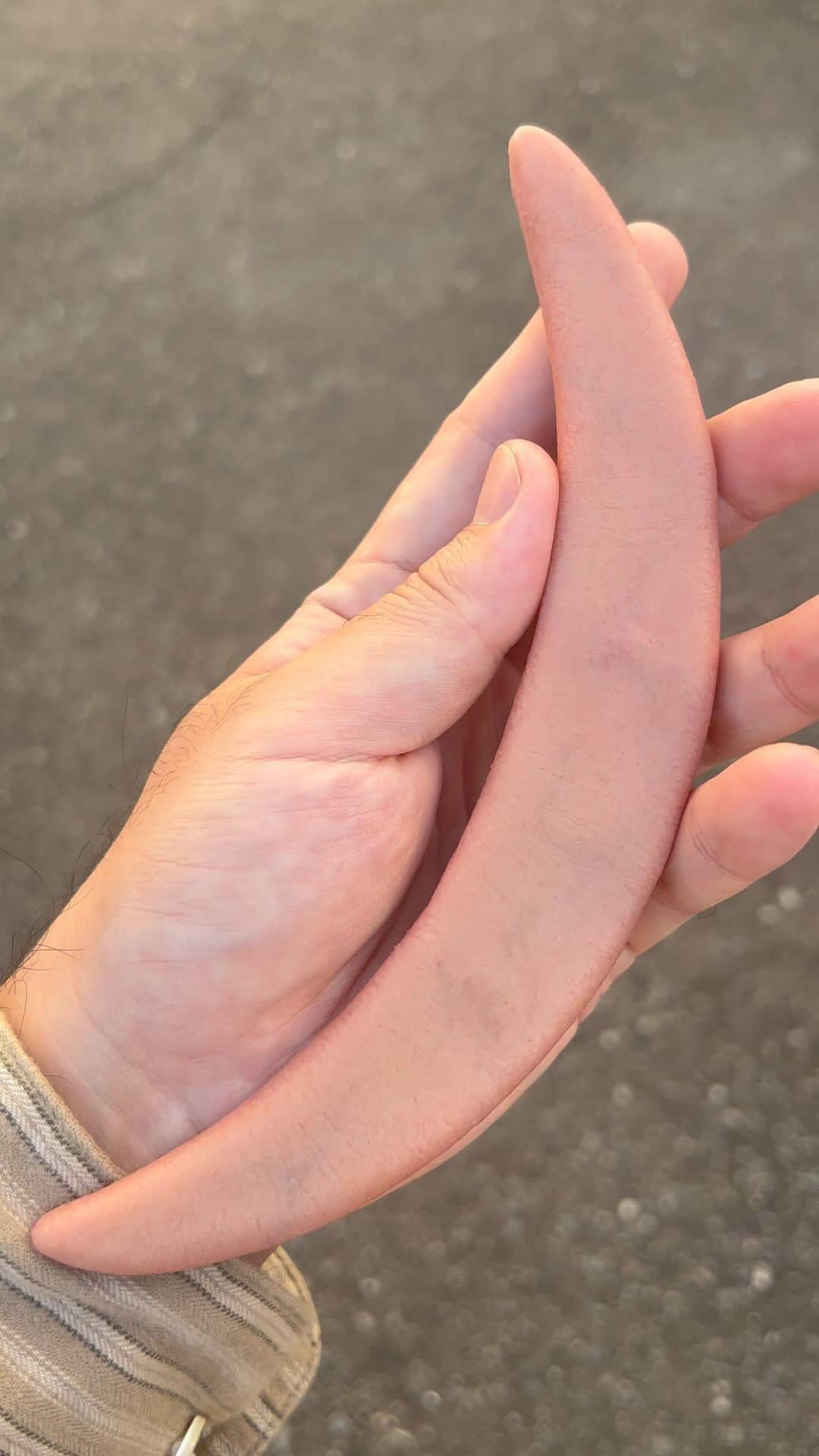 dooooのインスタグラム：「🌙」