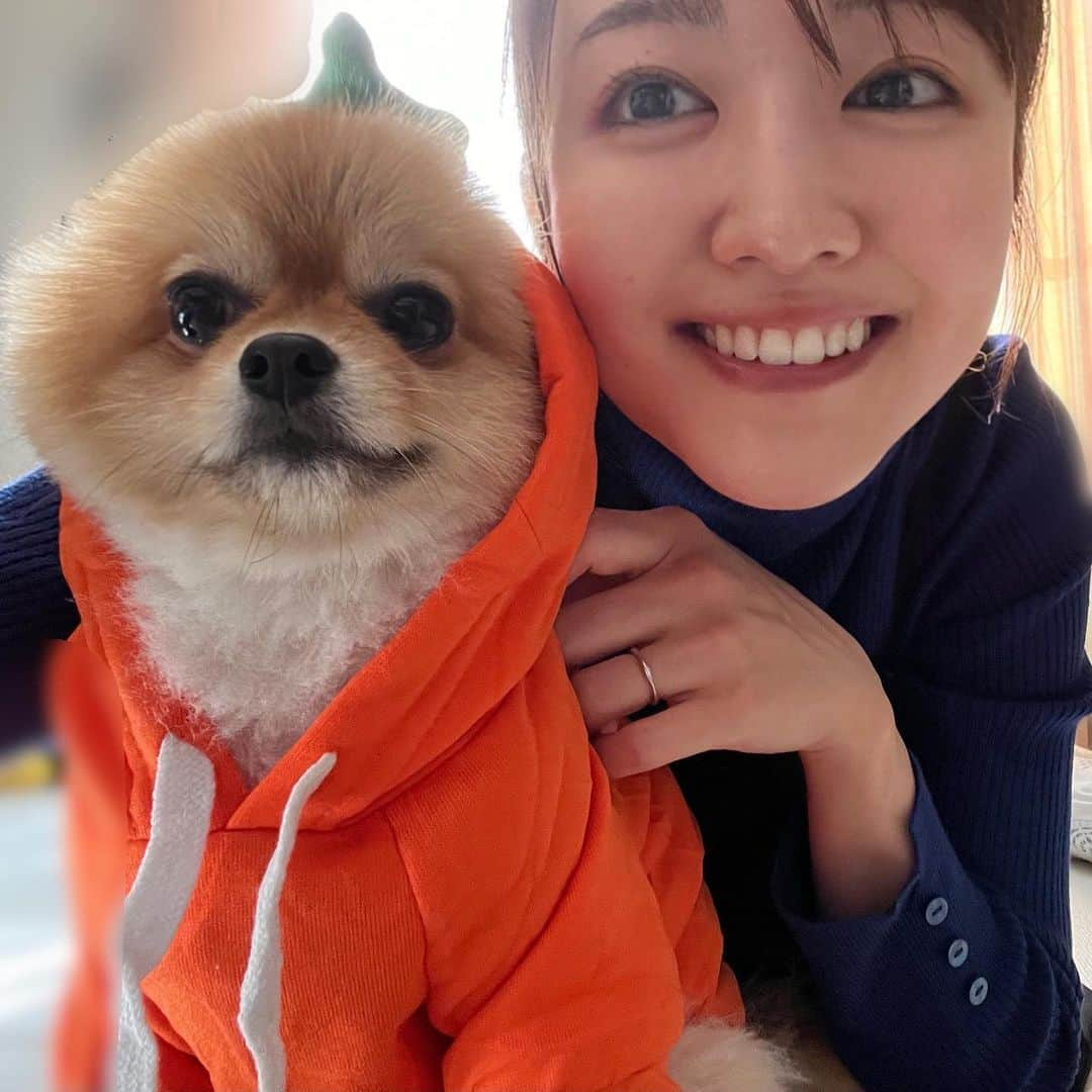 滝菜月さんのインスタグラム写真 - (滝菜月Instagram)「遅ればせながら... ハロウィーンポテっち🐾 凛々しく撮れました📷 ⁡ #投稿するなら昨日だよね #🎃　#とみせかけて　#🥕 #ハロウィーン」11月1日 21時14分 - taki_natsuki