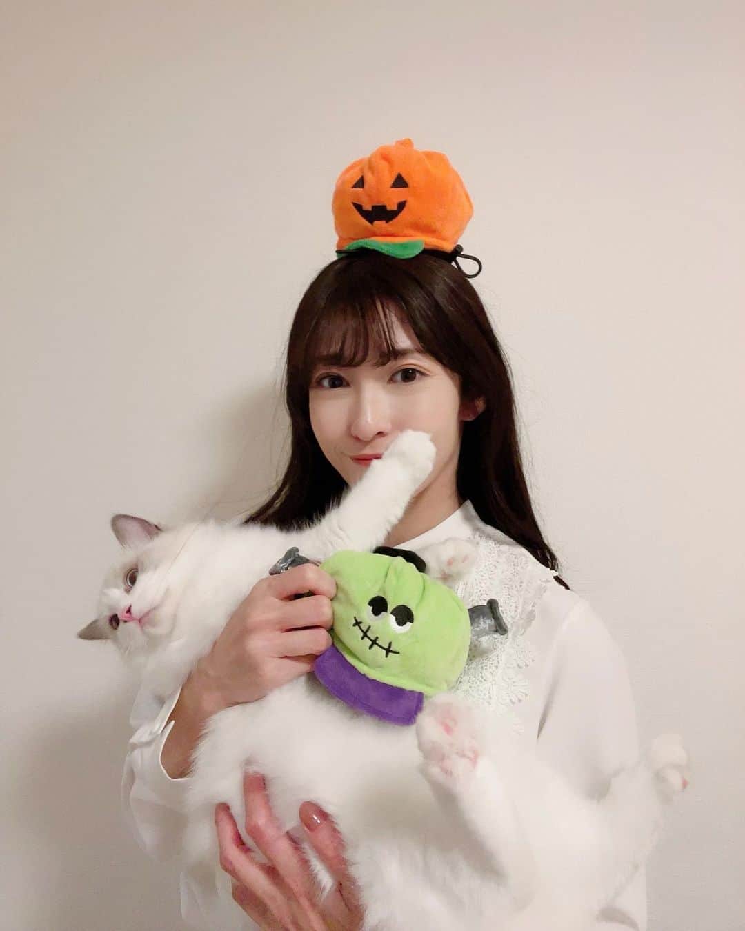 山岸愛梨さんのインスタグラム写真 - (山岸愛梨Instagram)「おもち（ふかふかでかにゃん）、 とろろ（顔に猫パンチ白猫）、 ちくわ（豆柴）に、ハロウィン帽子を かぶってもらいました👒  可愛い…🥹🤍  最後に、カマキリと格闘する ちくちゃんをお楽しみください🐕  #猫のいる暮らし #犬のいる暮らし」11月1日 21時20分 - airi_yamagishi