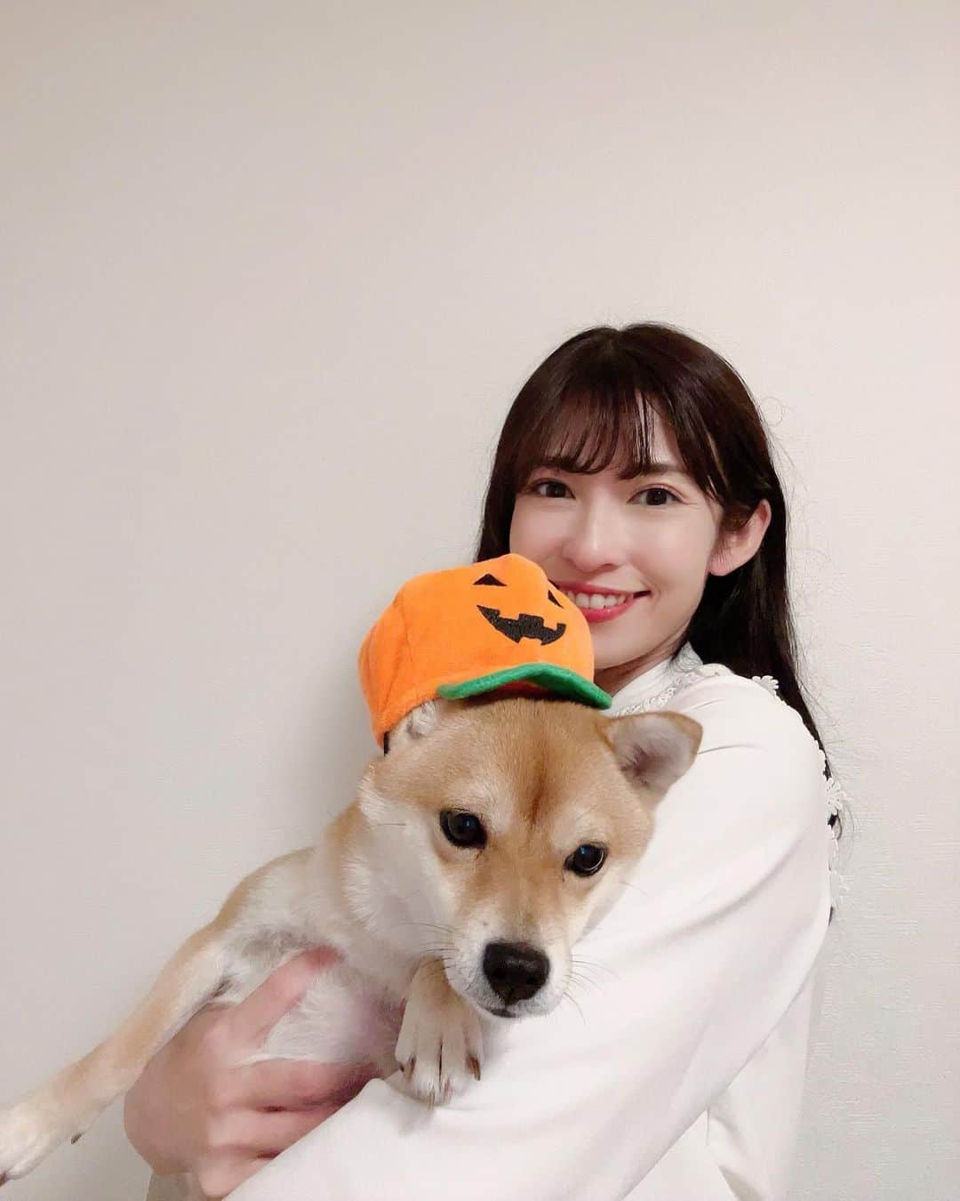 山岸愛梨さんのインスタグラム写真 - (山岸愛梨Instagram)「おもち（ふかふかでかにゃん）、 とろろ（顔に猫パンチ白猫）、 ちくわ（豆柴）に、ハロウィン帽子を かぶってもらいました👒  可愛い…🥹🤍  最後に、カマキリと格闘する ちくちゃんをお楽しみください🐕  #猫のいる暮らし #犬のいる暮らし」11月1日 21時20分 - airi_yamagishi
