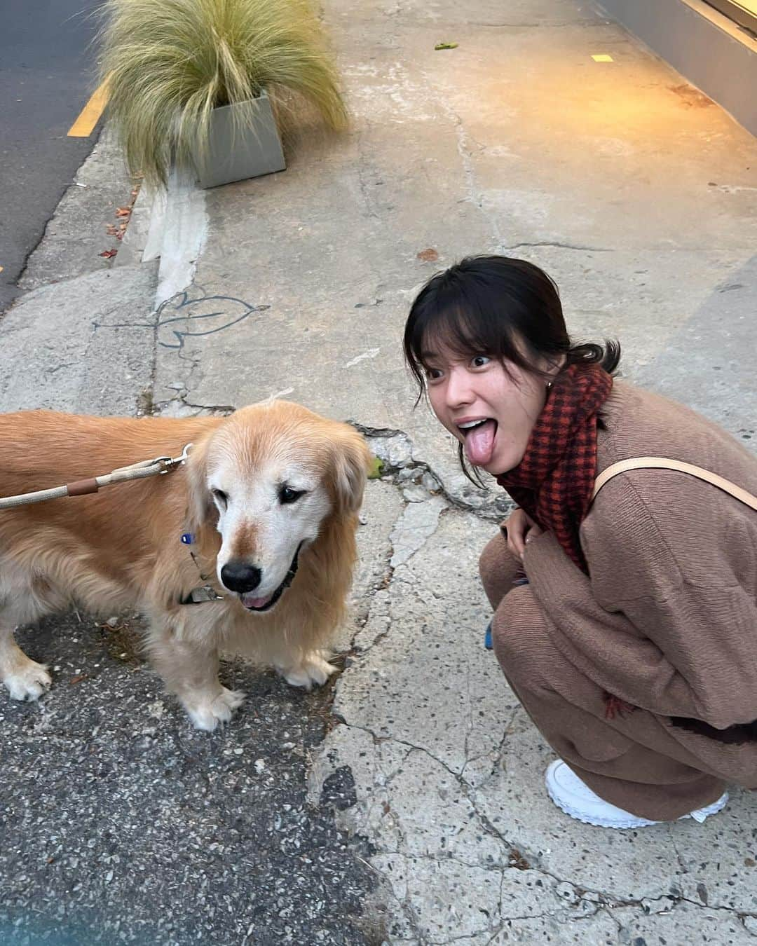 ハン・ヒョジュさんのインスタグラム写真 - (ハン・ヒョジュInstagram)「버두랑 커플룩🐶 나난작가님은 늘 감동을 안고 나타나시고 맑은 경화언니랑 맑은 혜미작가님 전시🤎 가을이네 🍂」11月1日 21時26分 - hanhyojoo222