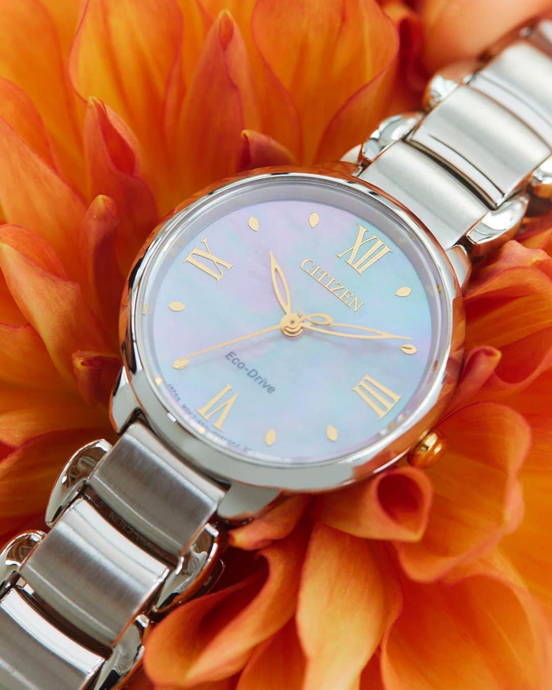 citizenlwatchのインスタグラム：「「ダリアの花をモチーフにした新モデル」  咲き誇るダリアの花にインスパイアされた 優雅なシルエット、 上品で華やかなデザインが魅力のモデル。 シンプルでありながらも流れるように優雅なシルエットが 美しい存在感を放ちます。 文字板は、淡く色づいた白蝶貝を採用。 手元をより美しく見せてくれます。  詳しくはプロフィール欄のURLよりどうぞ。 → @citizenlwatch  The flower of elegance.  Every moment of the day.  Evoking the majestic blossom of the dahlia in full flower. Let yourself bloom, Fragrant and beautiful.  ∵∵∵∵∵∵∵∵∵∵∵∵∵∵∵⁣⁣⁣ 地球のように美しいサステナブルウオッチ A sustainable watch as beautiful as the Earth.  ・model EM0927-87Y ¥33,000（税抜価格¥30,000）  Link in bio @citizenlwatch⁣⁣⁣ ∵∵∵∵∵∵∵∵∵∵∵∵∵∵∵∵⁣⁣⁣  #sustainablewatch #サステナブルウォッチ #citizen #citizenl #citizenwatch #シチズン #シチズンエル」
