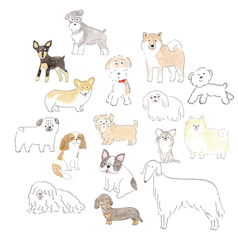 ハルペイさんのインスタグラム写真 - (ハルペイInstagram)「🐶今日は犬の日だって❤️ 世界中のわんこたちがしあわせでありますように🙏❤️ #犬の日#🐶❤️ #doginstagram  #개 #狗  . #harupei#ハルペイ#doodle#draw#drawing#illustrator#illustration#japan#絵#雑貨#湘南#イラスト#イラストレーター#ゆるい」11月1日 21時50分 - harupeipei
