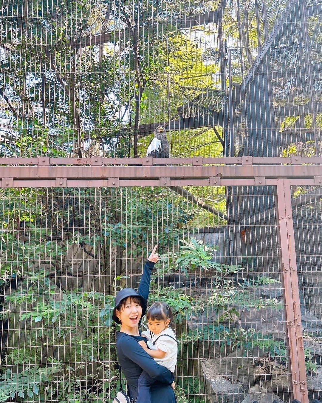 矢端名結さんのインスタグラム写真 - (矢端名結Instagram)「平日・午前中の上野動物園🐼 ゆっくり動物がみられていい思い出ができました！ 娘もテレビや絵本で出てくるキャラクターと照らし合わせて、楽しんでいました👶🏻 でも大人になってからの方が動物園って楽しいかも🥹  #上野動物園 #上野 #動物園 #zoo」11月1日 22時01分 - miyu_yabata