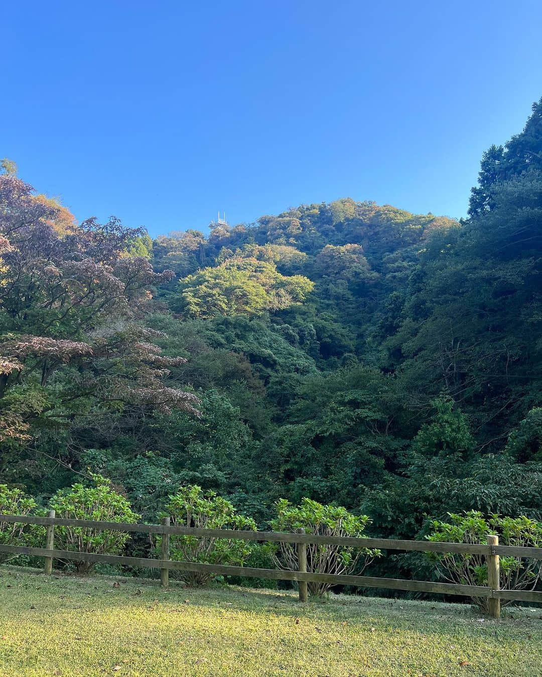 Hiroe Hiranoさんのインスタグラム写真 - (Hiroe HiranoInstagram)「Beautiful Autumn 🍂 ✨ 秋晴れが続き、なんとも気持ちいい季節🌿  芝生の上で、太陽浴びながらピクニック🧺 サンドイッチをつくって芝生で寝転んで。  あっという間に２ヶ月に。 肌が真っ白なSoma❄️ たくさん太陽を浴びて、 自然からパワーをチャージして🌏  見渡すと様々な背景を 背負っている人が沢山いる。  私たちができることを。 歩みながら、美しい世界で🌏 スクスク育ってくれることを想います🌞  芸術の秋、食欲の秋ですね。 引き続き、内側に向けてのインプット時。  クリエイティブ魂を磨きたい、今日この頃💎  いろんな想像しながら。 さらに自分の想像も超えたビジョンを キャッチするために。  息子と共に外に向けて動き出して行こうと思います🌱  #mywellbeing #マイウェルビーイング #family #家族 #高齢出産 #mindfulness #wellbeing #life #love #国際結婚 #ハーブベイビー」11月1日 22時01分 - hiroe_hirano